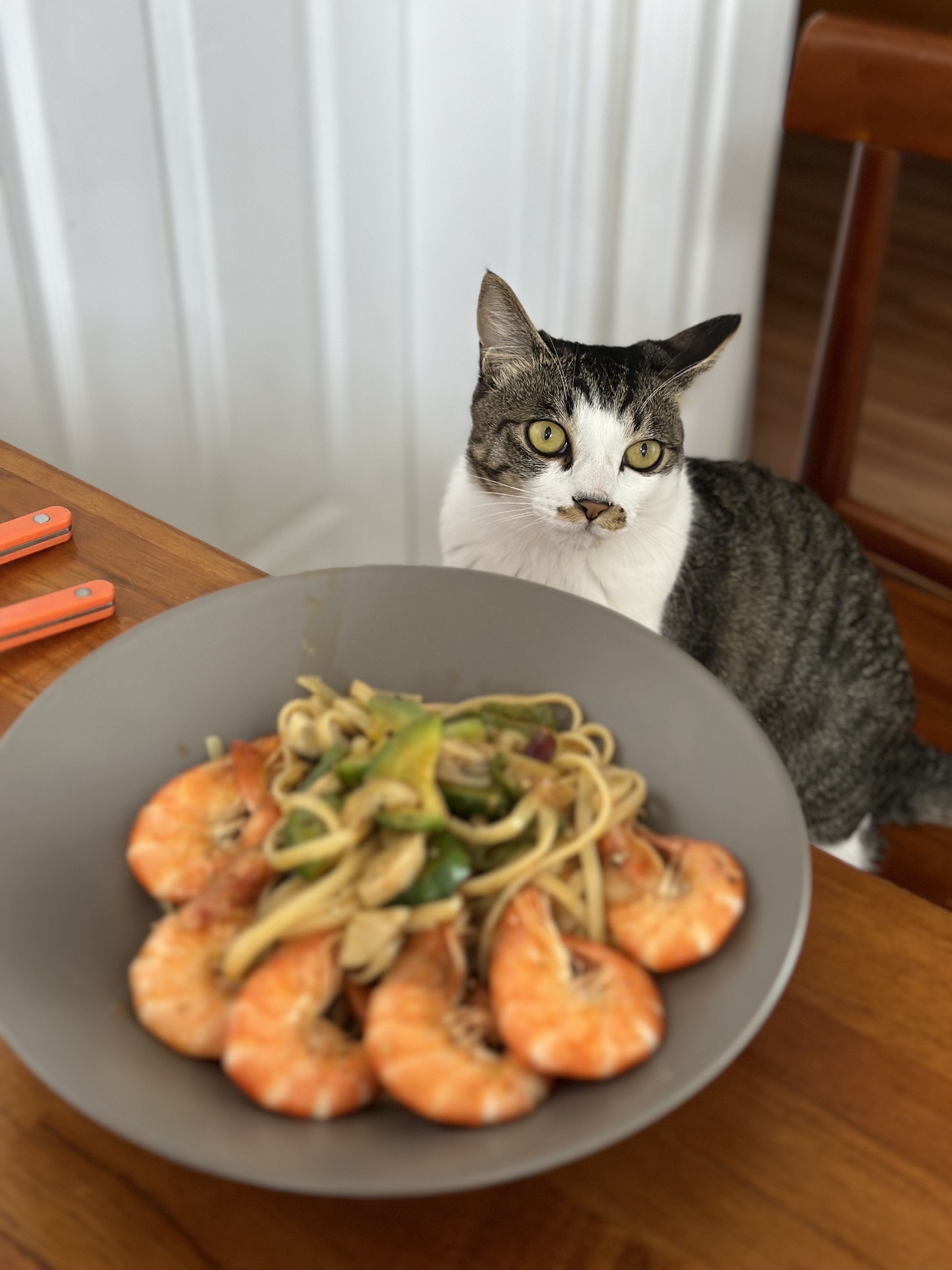 꼬무와 가족이 된지 어느새 1년