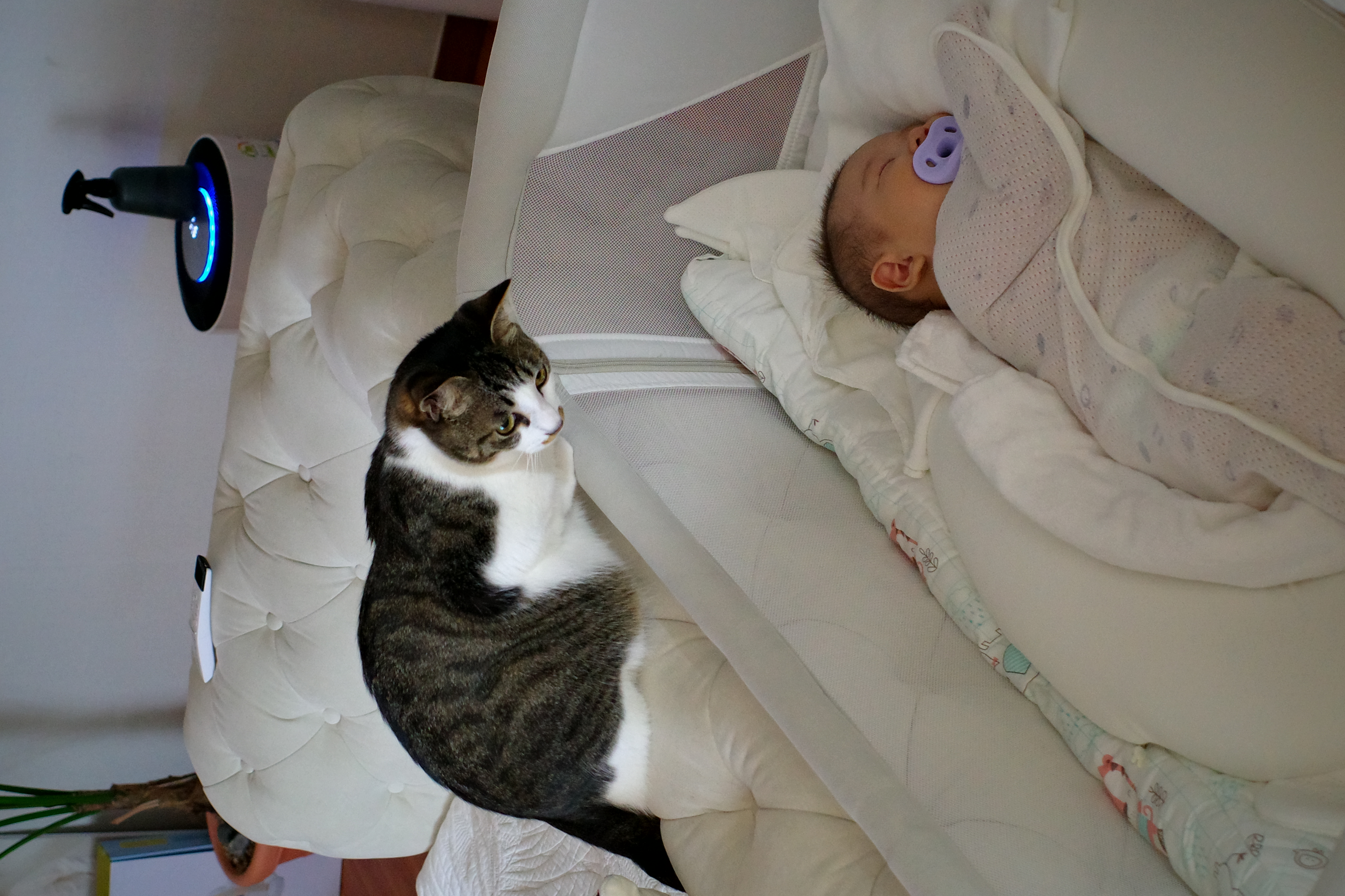 꼬무와 가족이 된지 어느새 1년