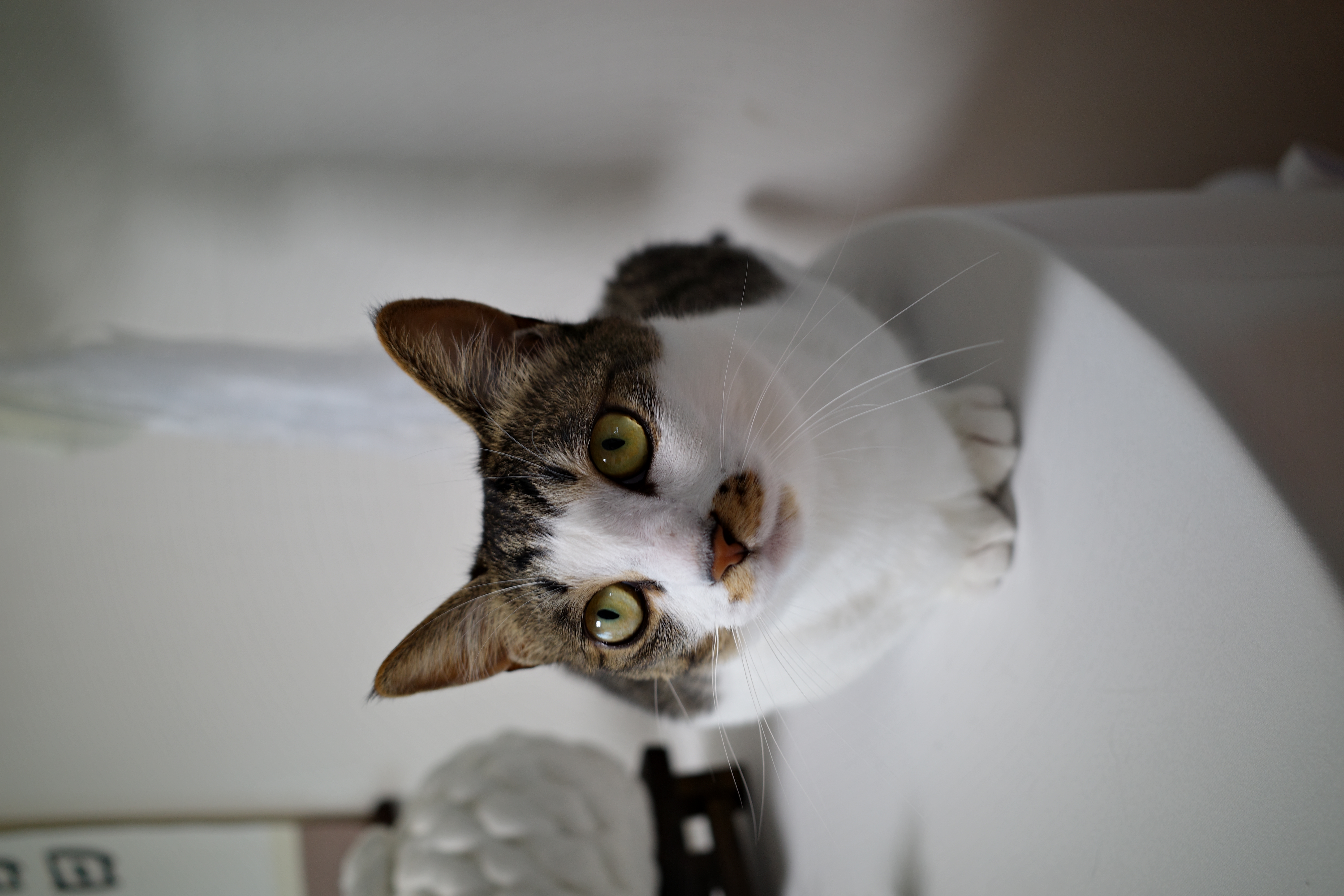 꼬무와 가족이 된지 어느새 1년