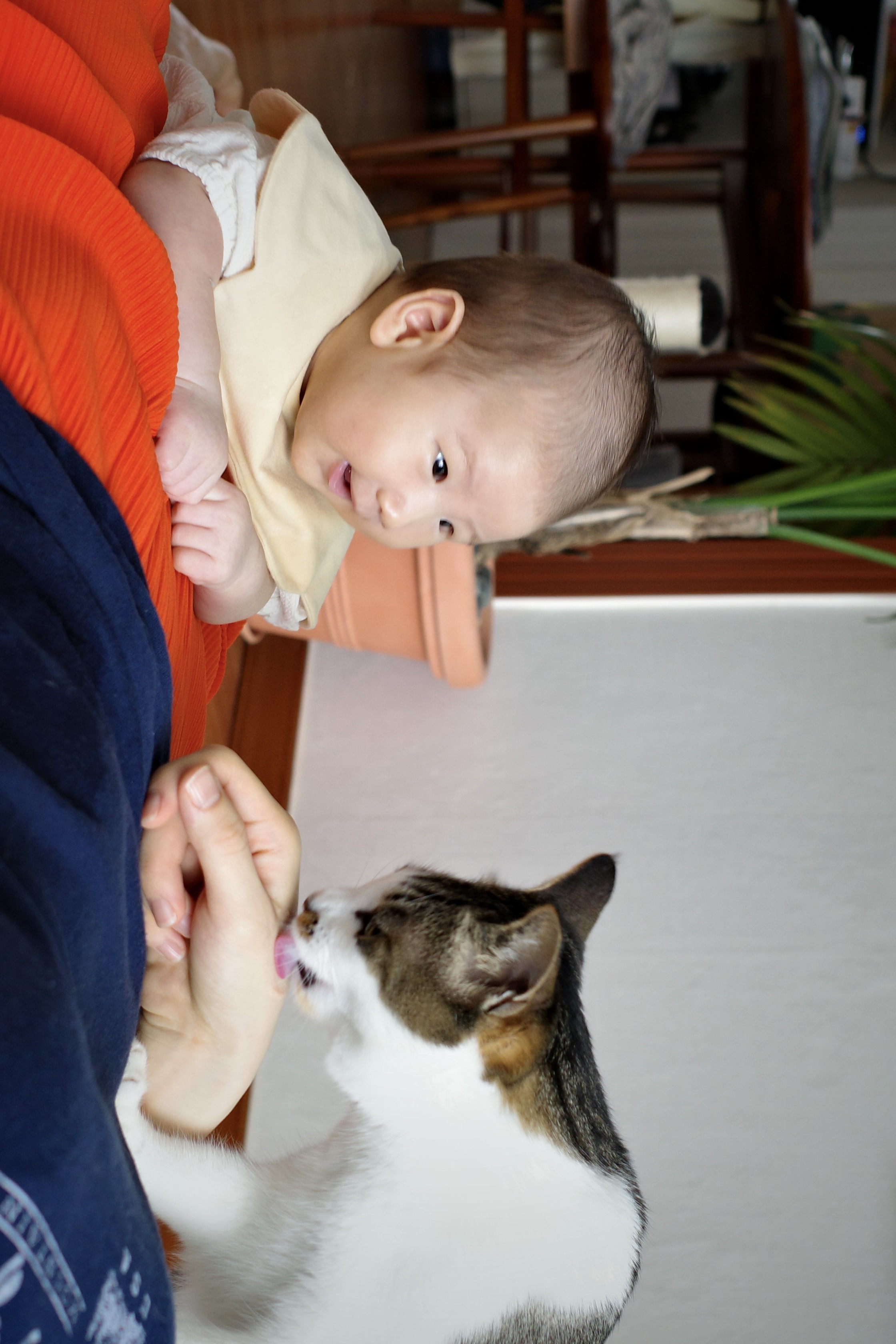 꼬무와 가족이 된지 어느새 1년