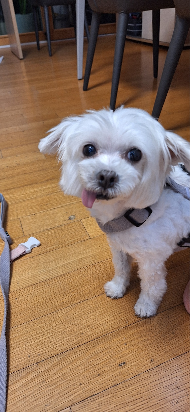 바로 임보 4개월째