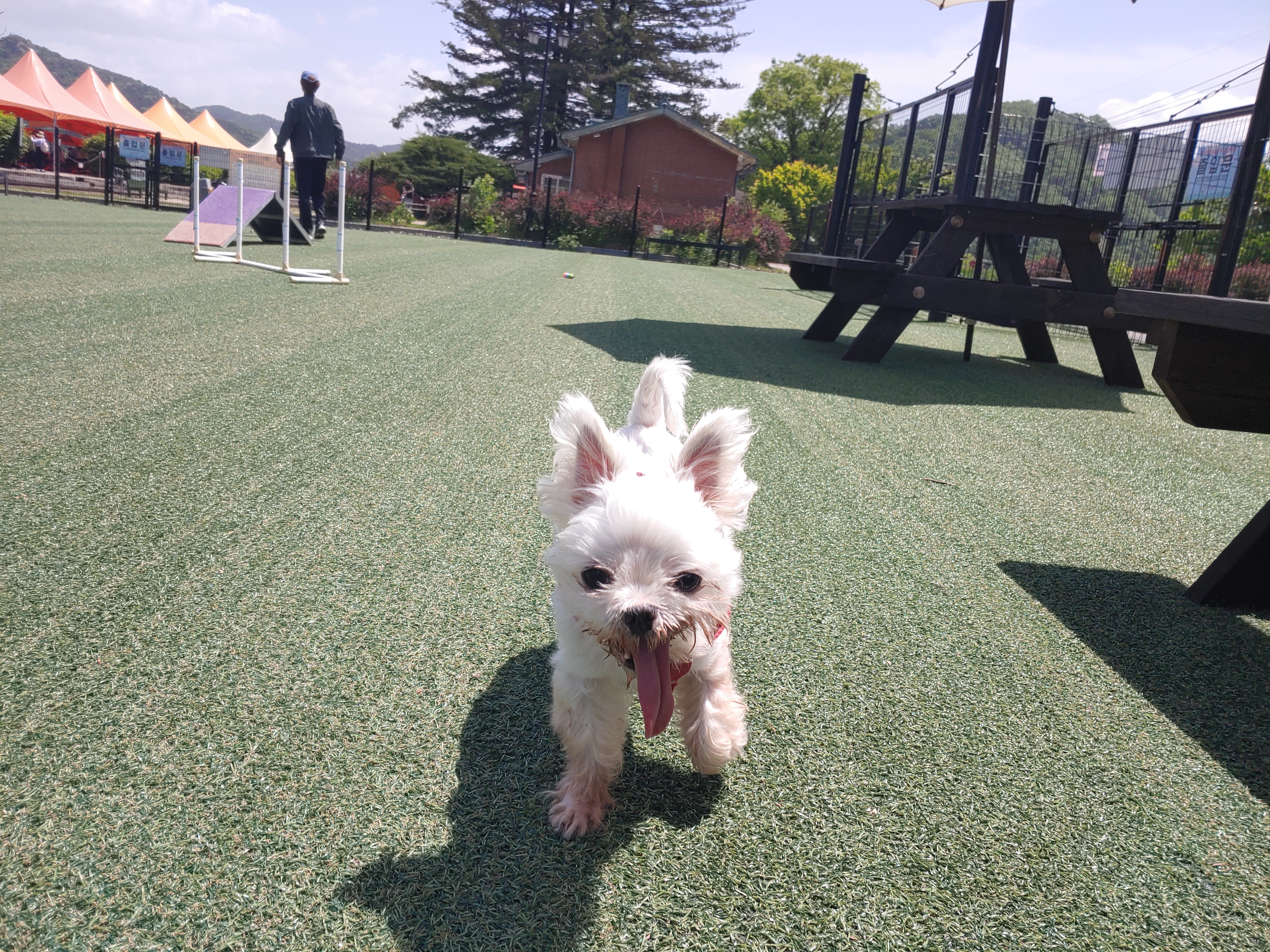 바토는 올해도 잘 지내고 있어요