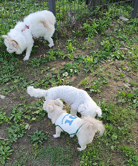 산쵸 (구 오유)와 함께한 2년 후기 입니다~!