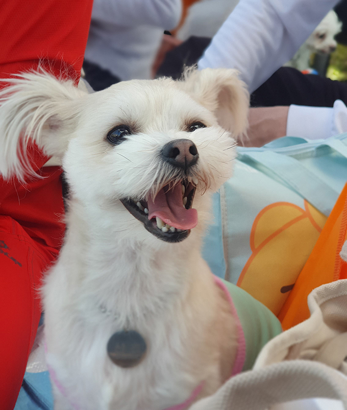 산쵸 (구 오유)와 함께한 2년 후기 입니다~!