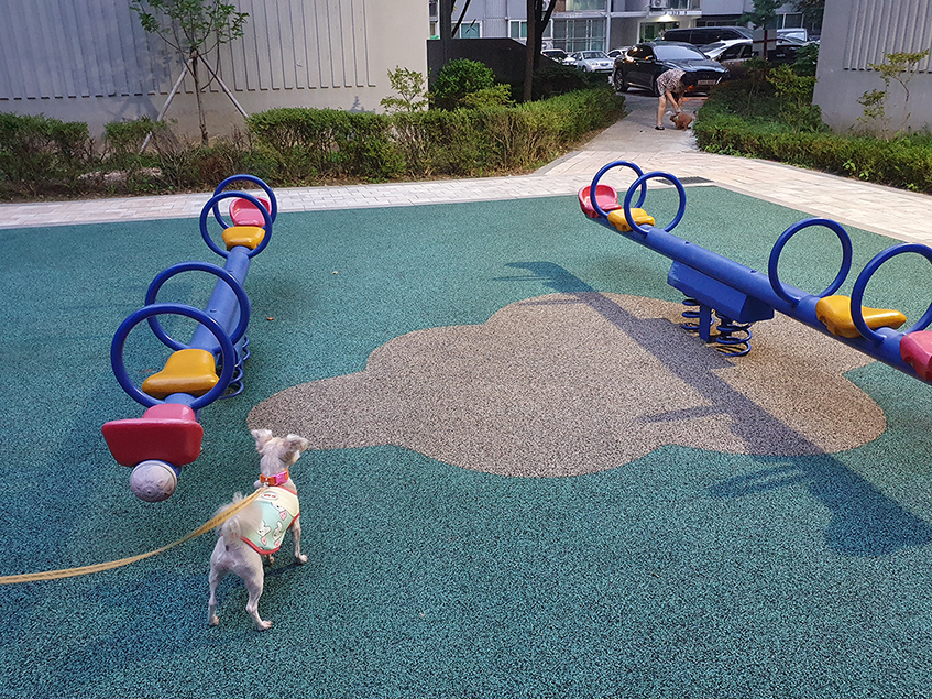 산쵸 (구 오유)와 함께한 2년 후기 입니다~!