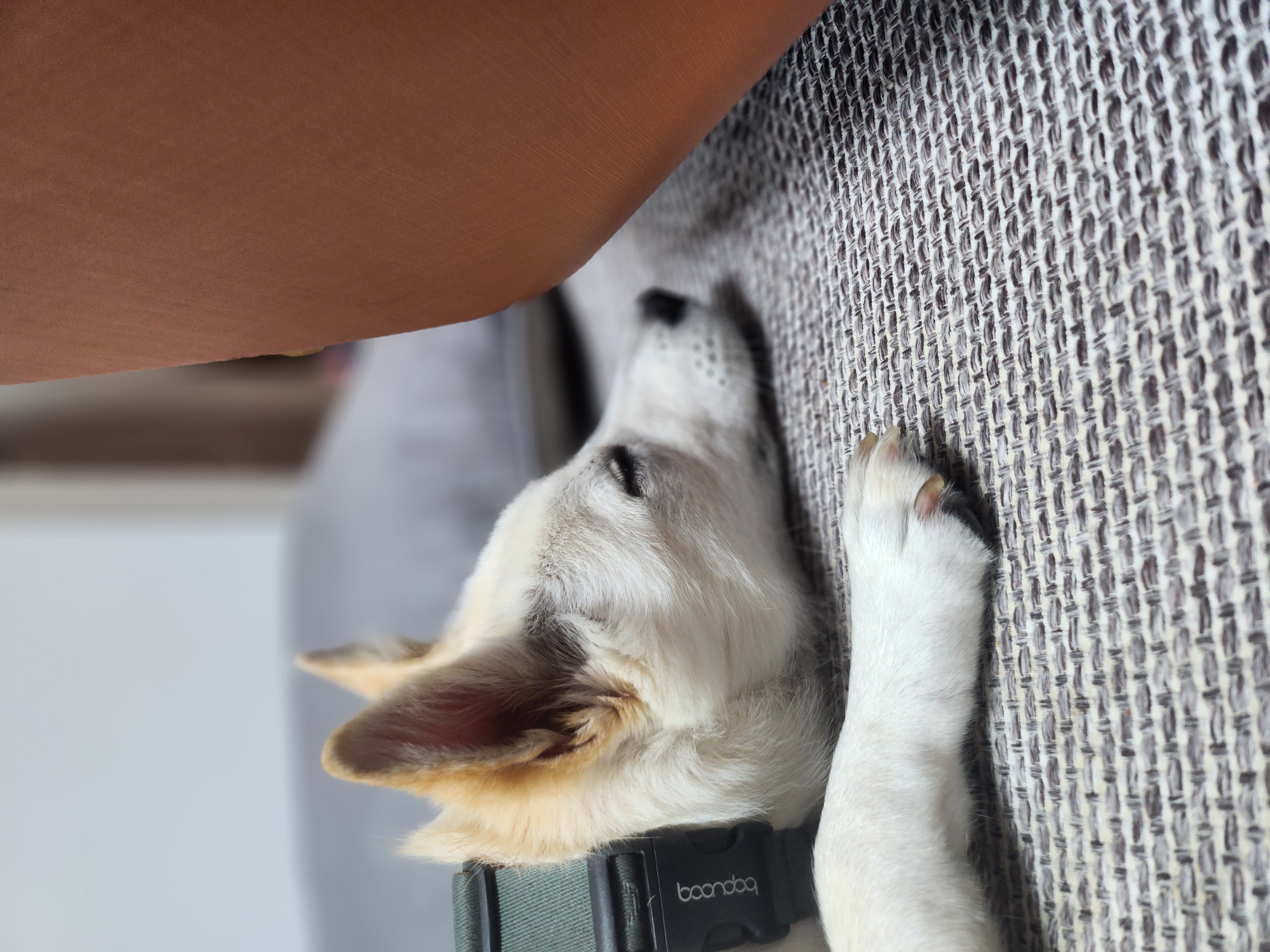 해온이 이야기_3