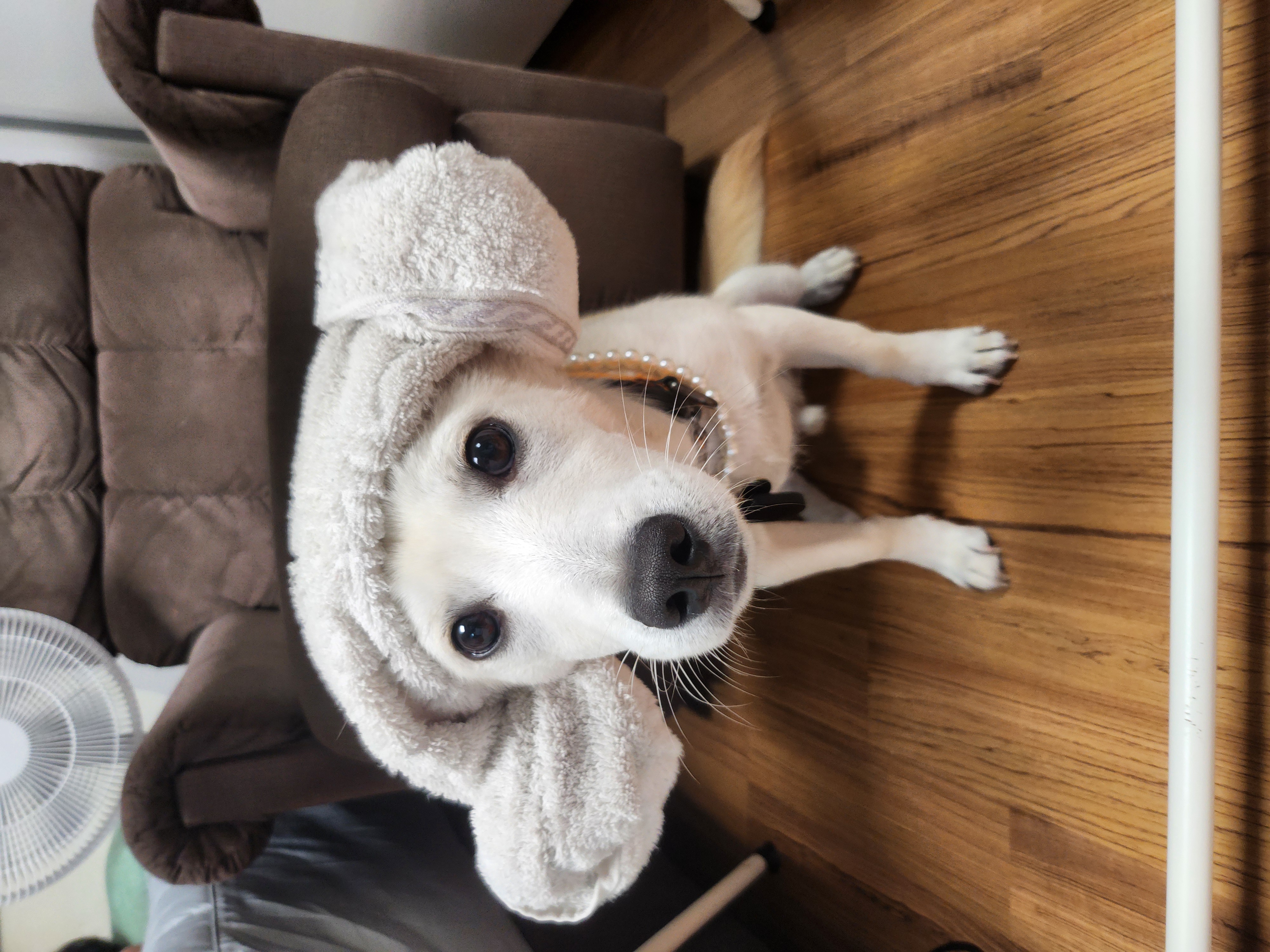 해온이 이야기_3