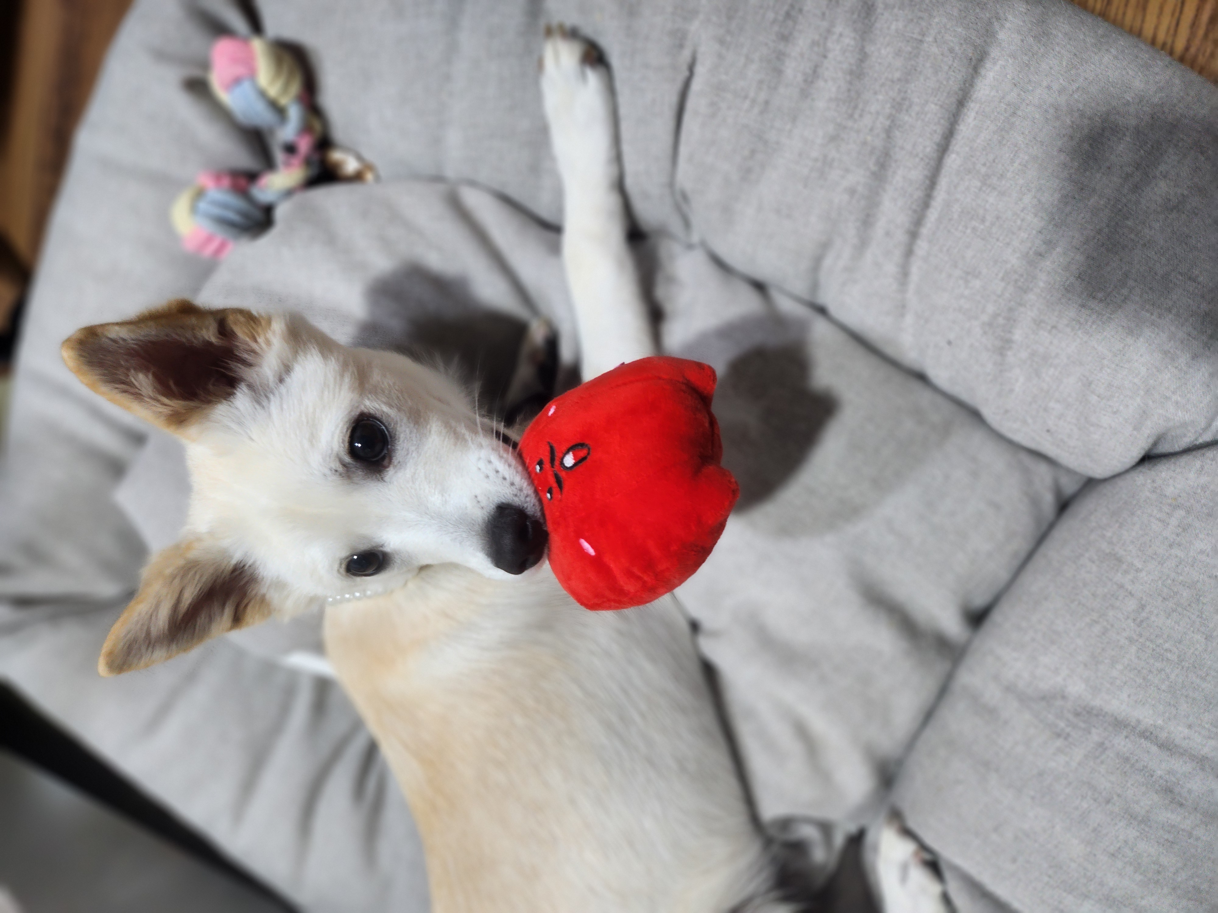 해온이 이야기_3