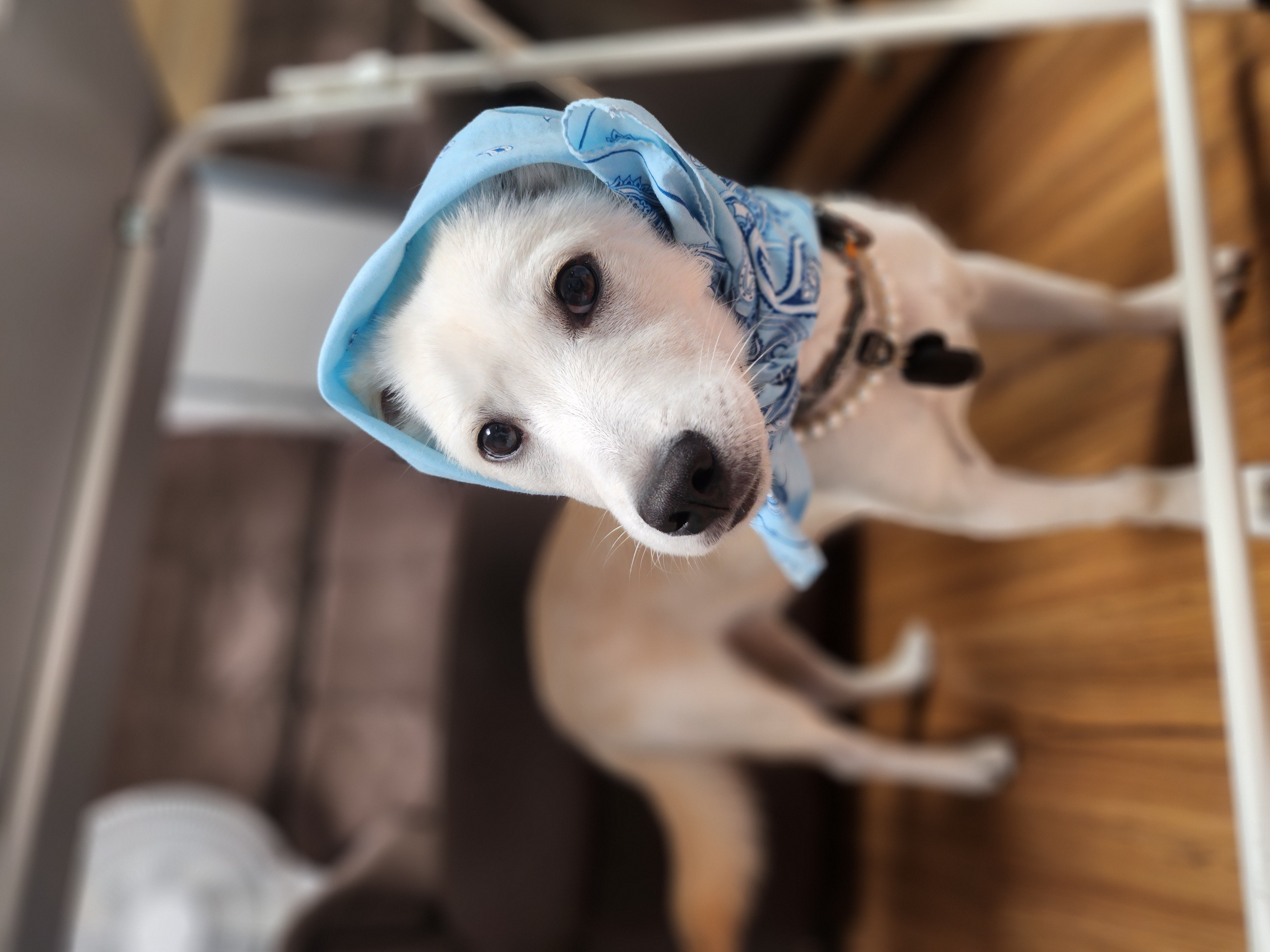 해온이 이야기_3