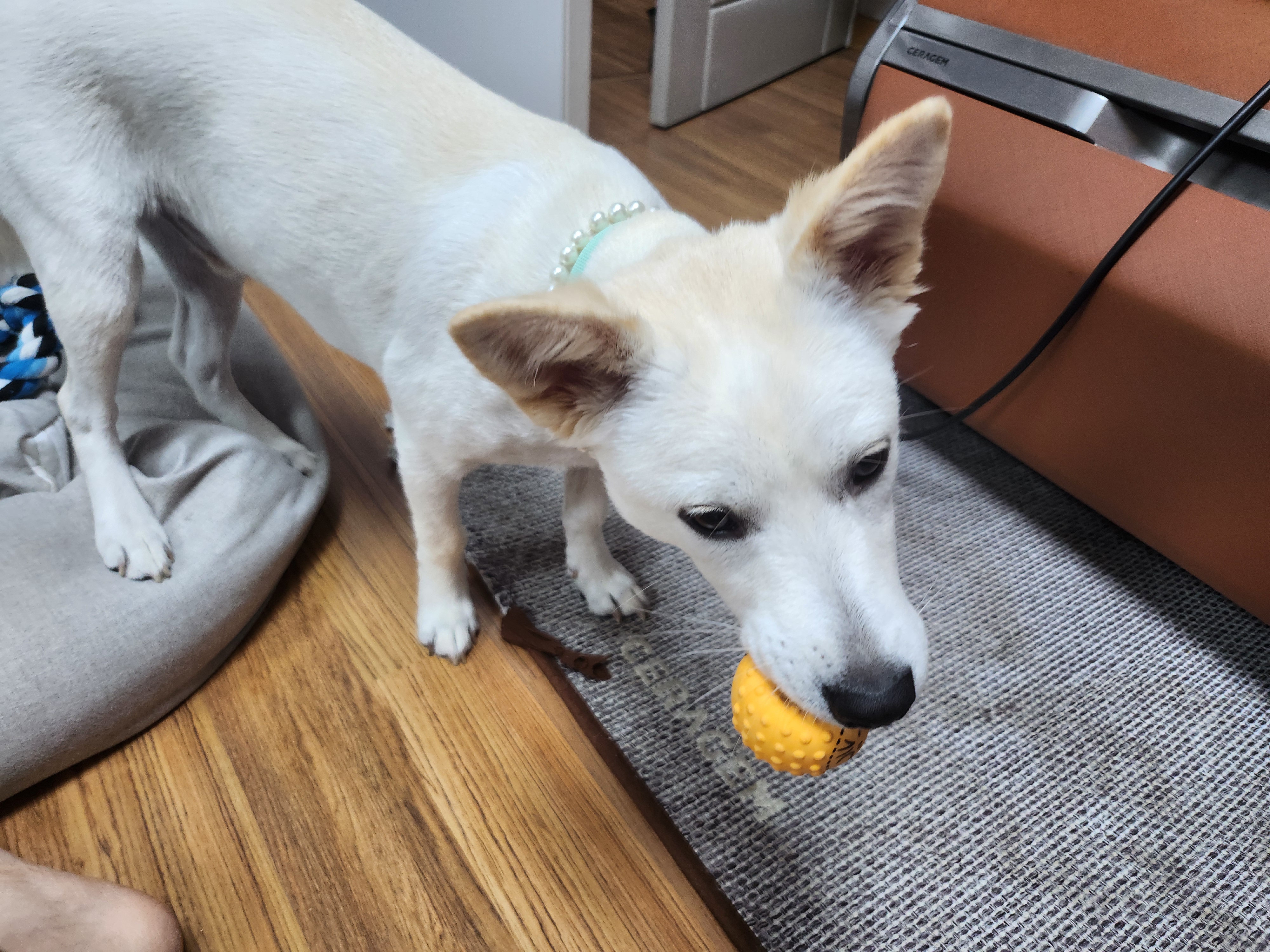 해온이 이야기_3