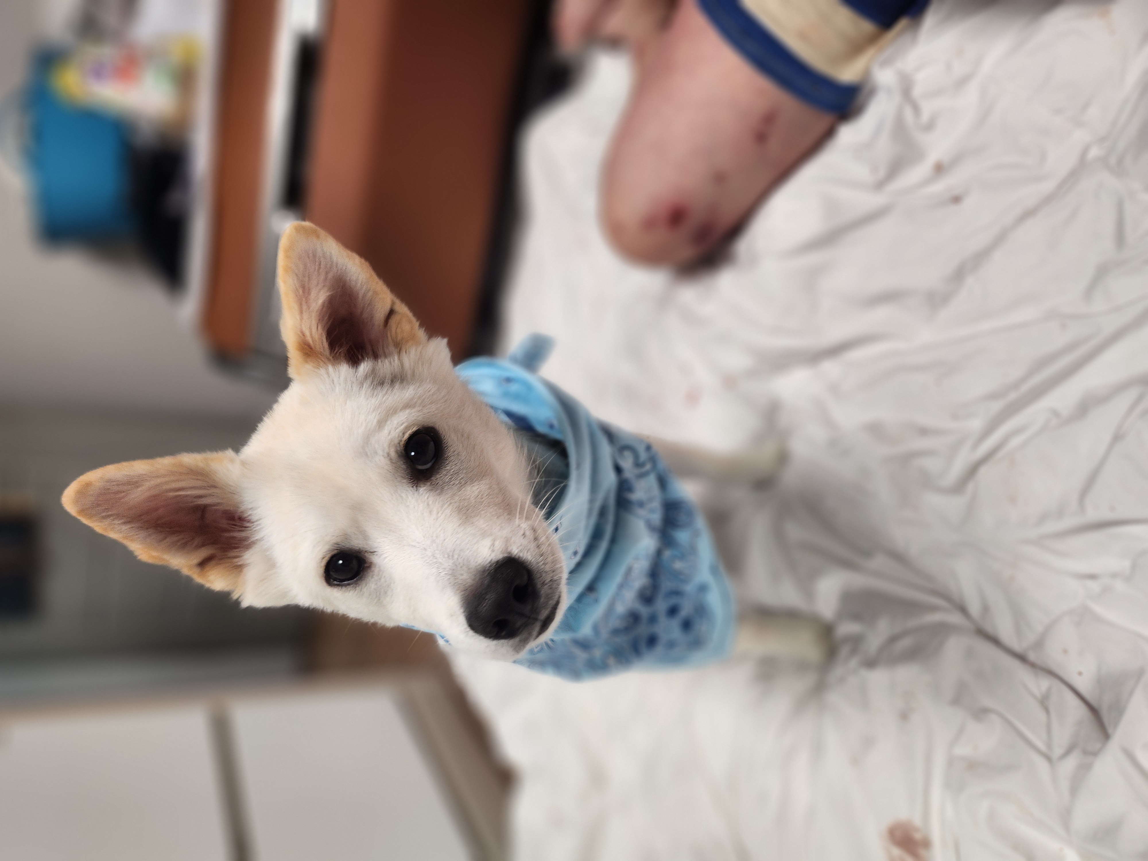 해온이 이야기_3