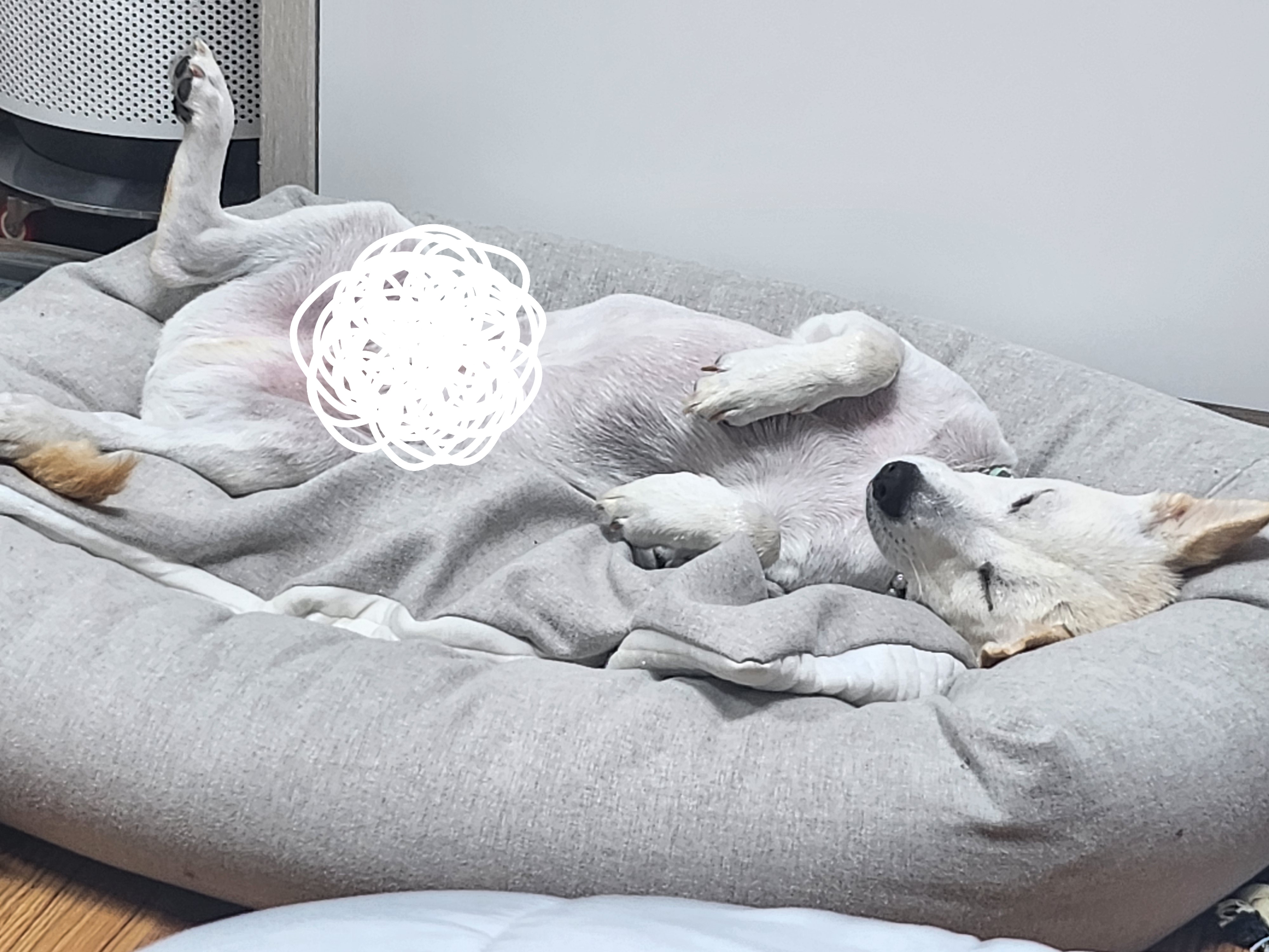 해온이 이야기_3