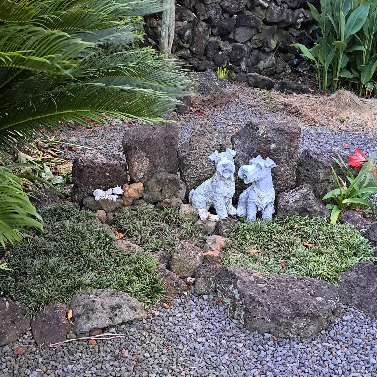 장금이 무지개 다리 건너 보내었습니다.