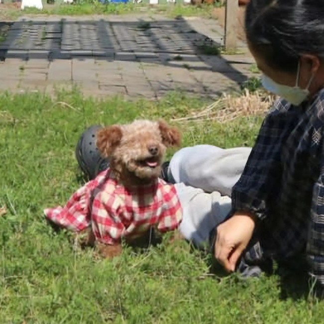 장금이 무지개 다리 건너 보내었습니다.