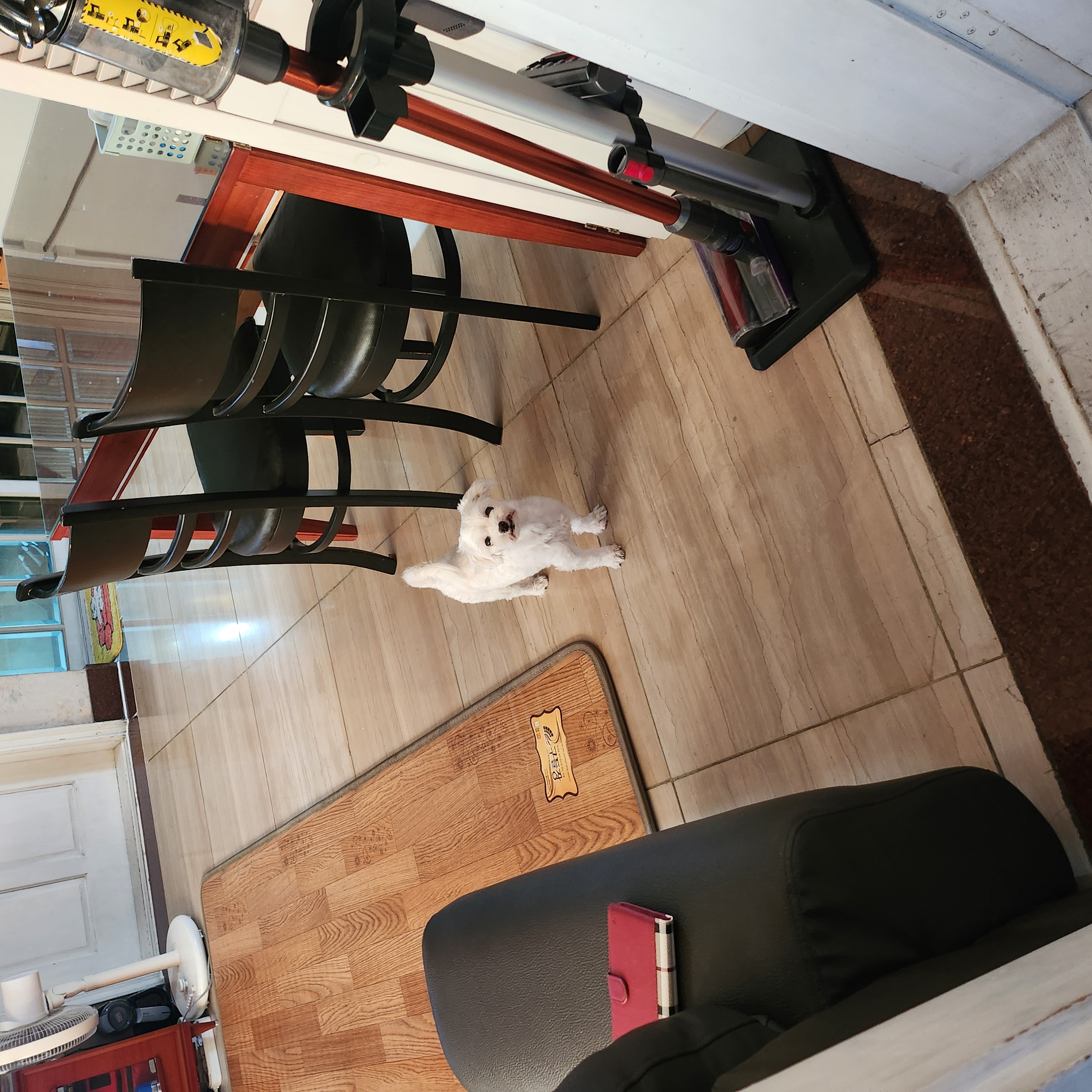 마린.. 아직도 눈치만 보는 마린이에요 ㅜㅜ