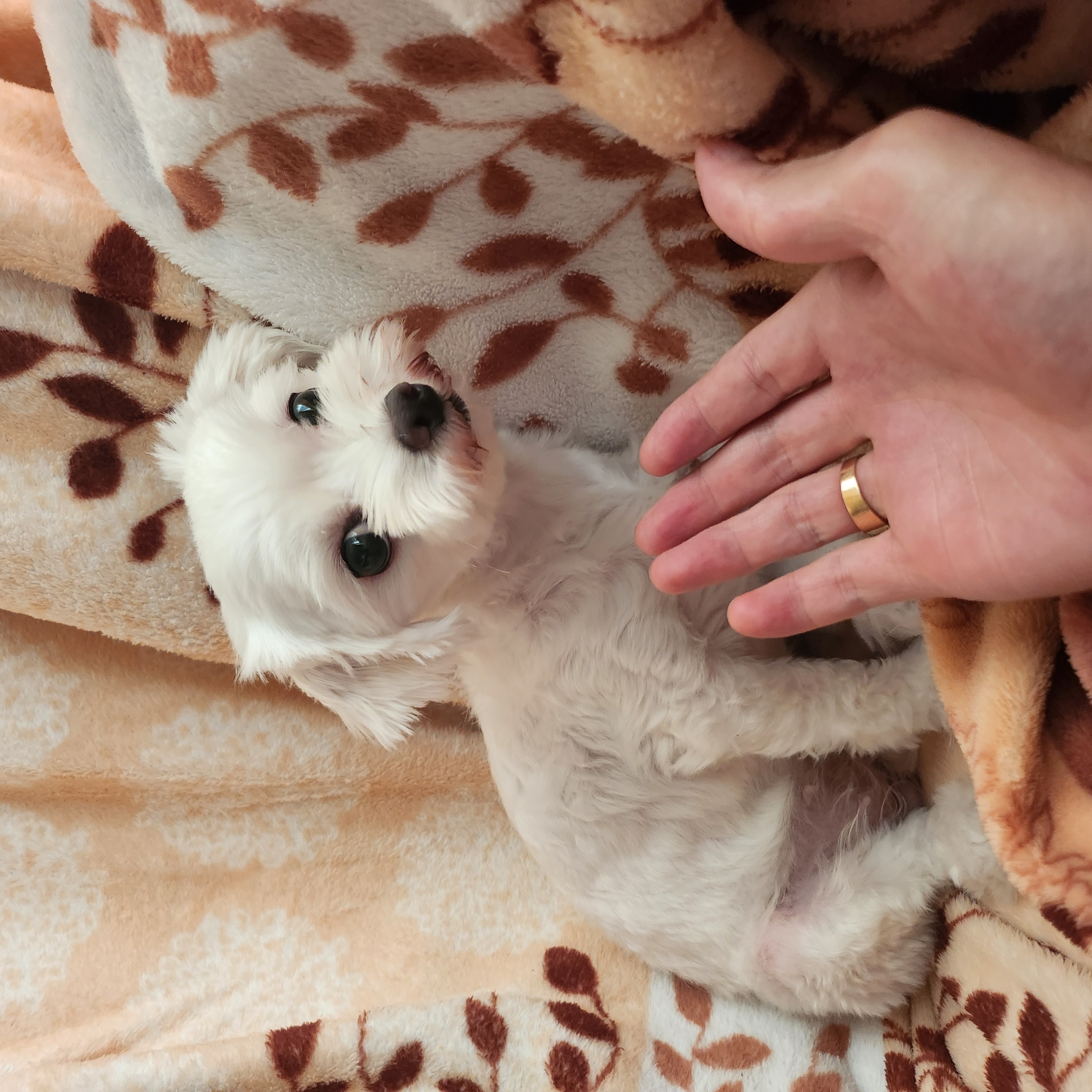 마린.. 아직도 눈치만 보는 마린이에요 ㅜㅜ