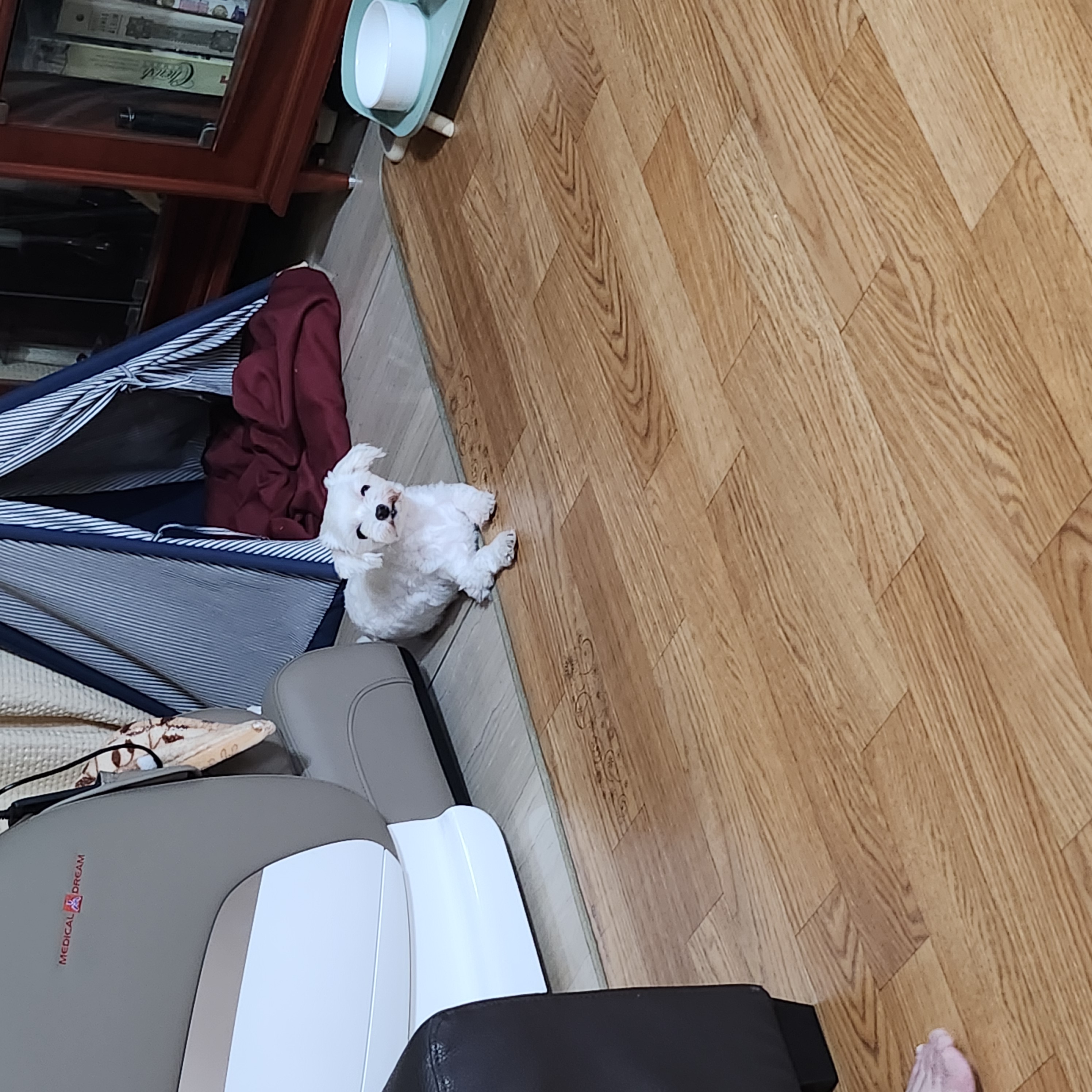 마린.. 아직도 눈치만 보는 마린이에요 ㅜㅜ