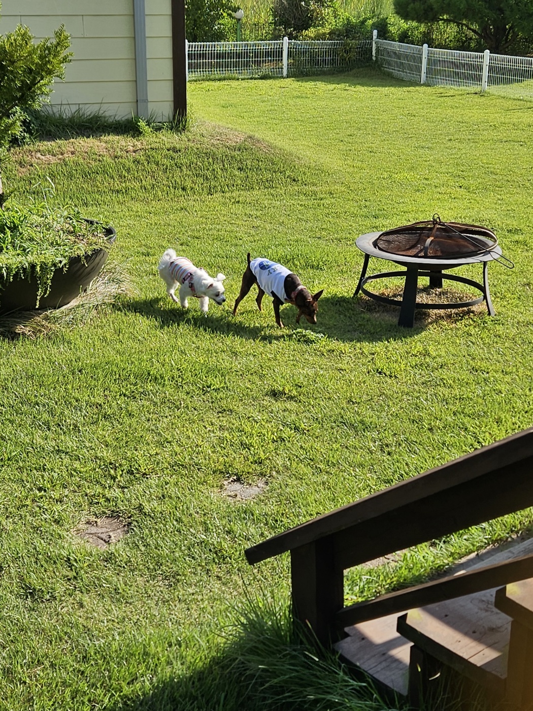 민성이 첫 여행 입양후기