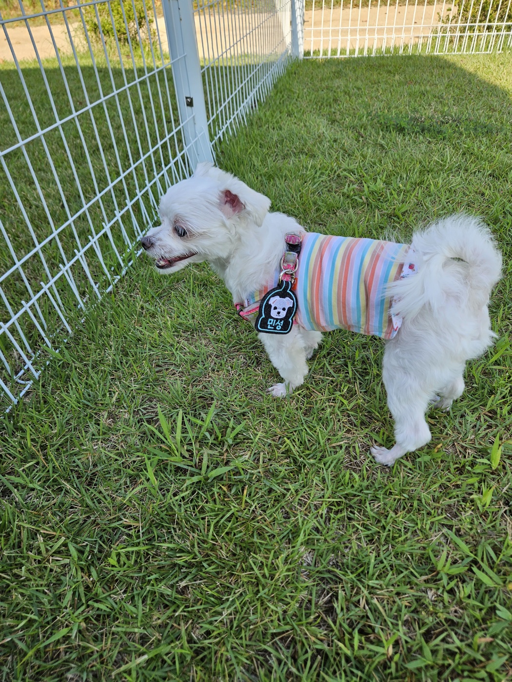 민성이 첫 여행 입양후기