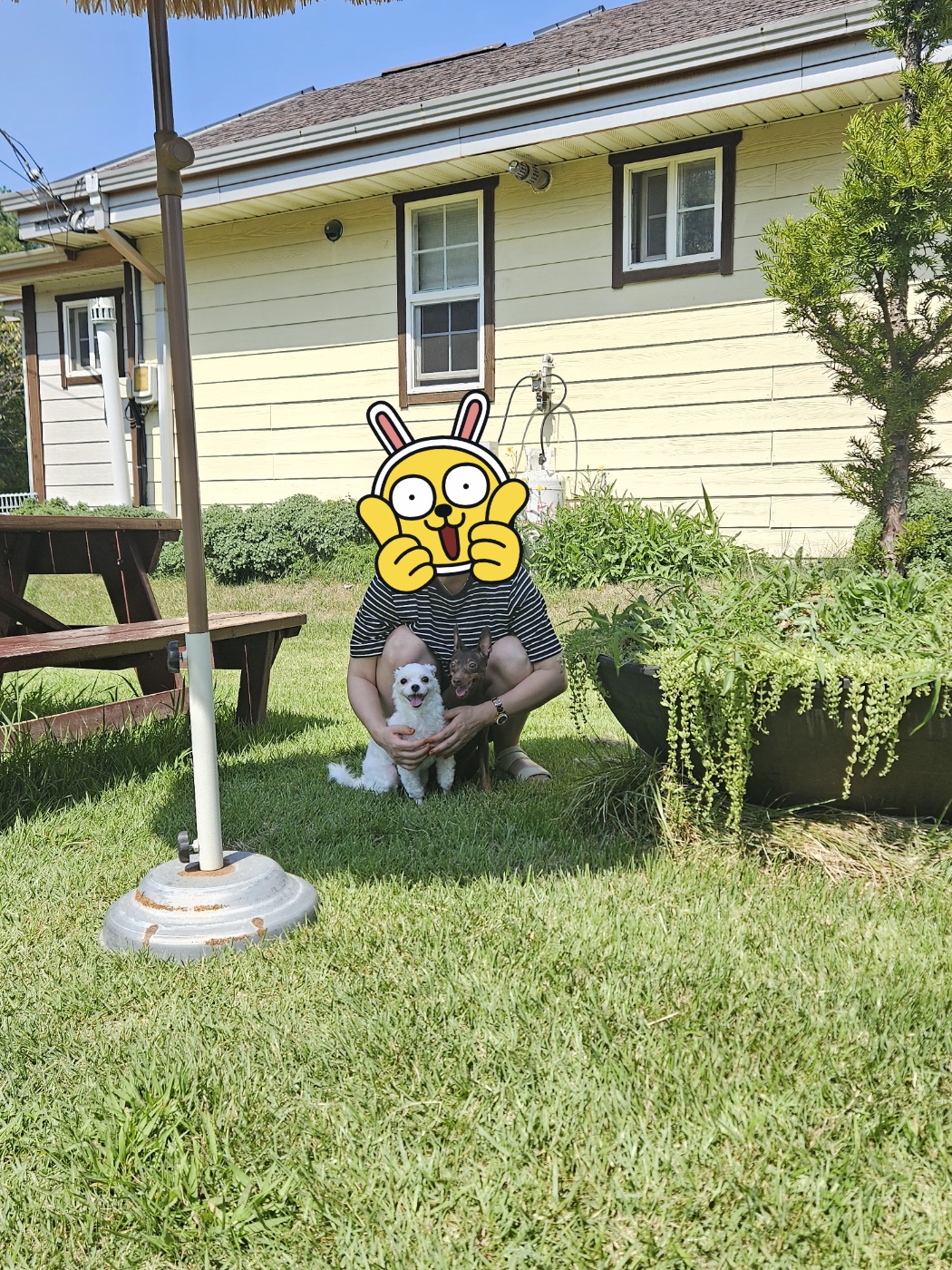 민성이 첫 여행 입양후기