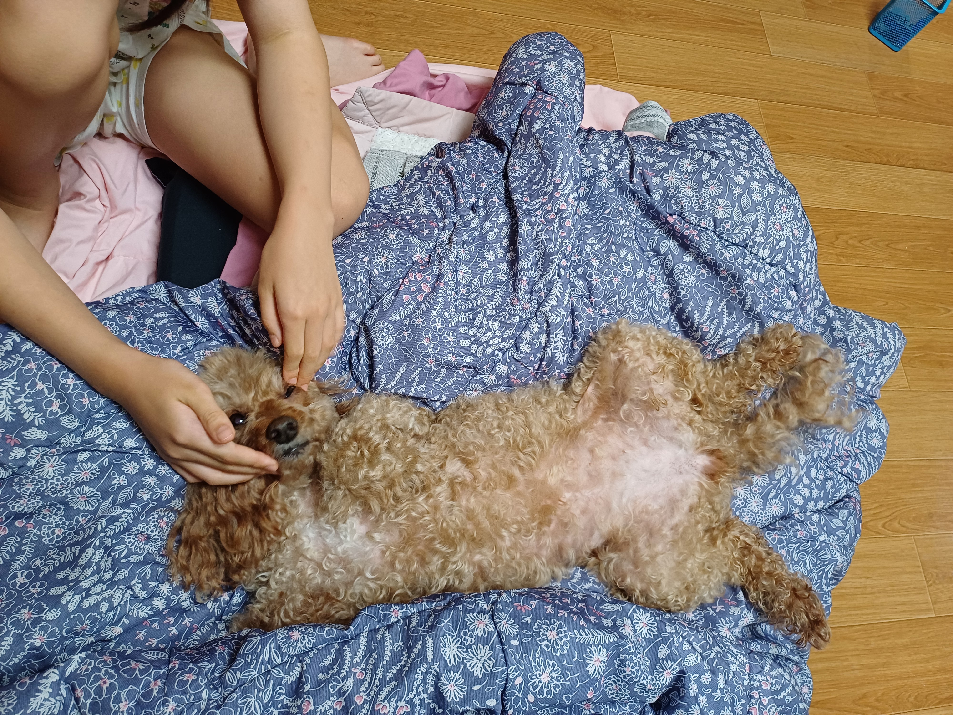  토리(구 곤지암 코리) 3주년