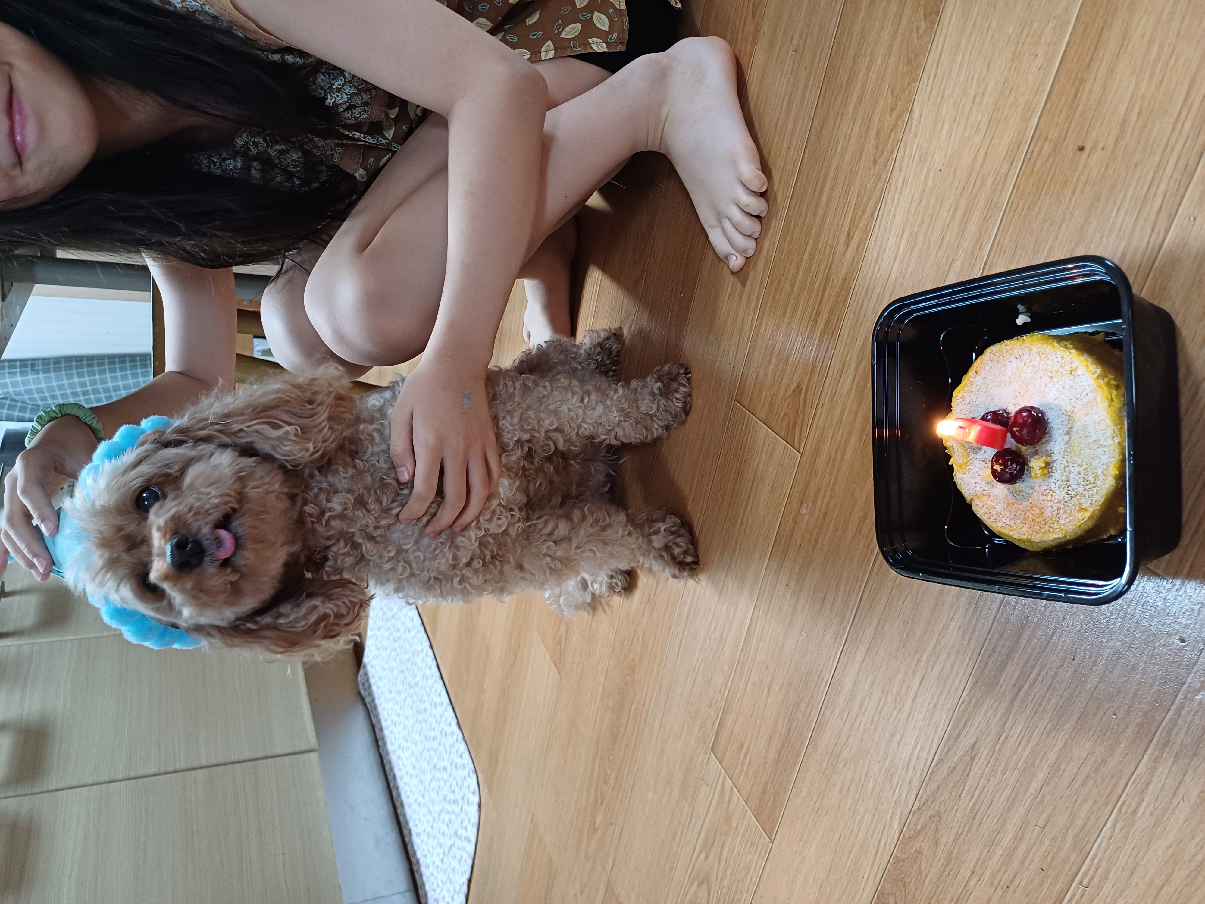  토리(구 곤지암 코리) 3주년