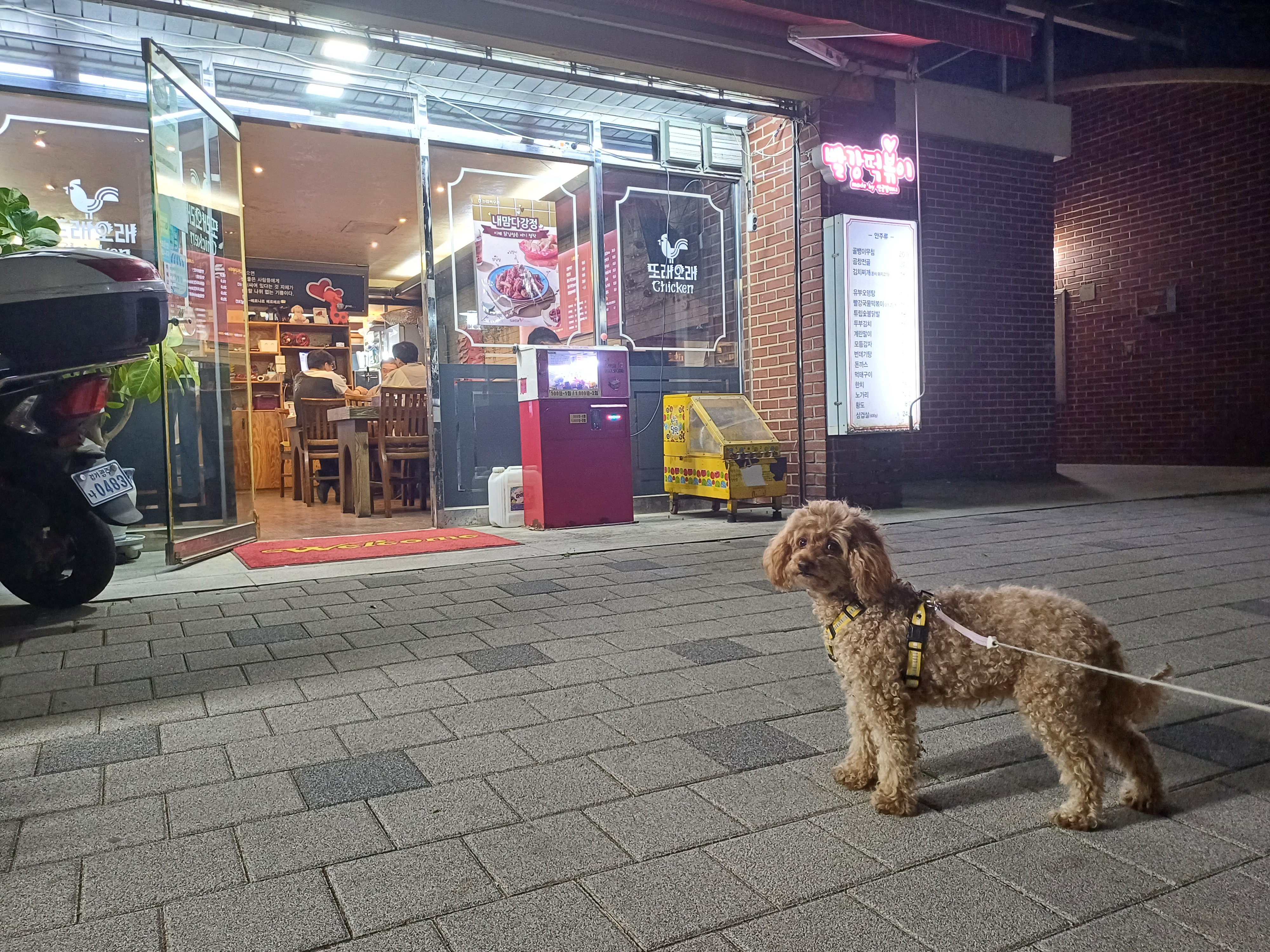  토리(구 곤지암 코리) 3주년