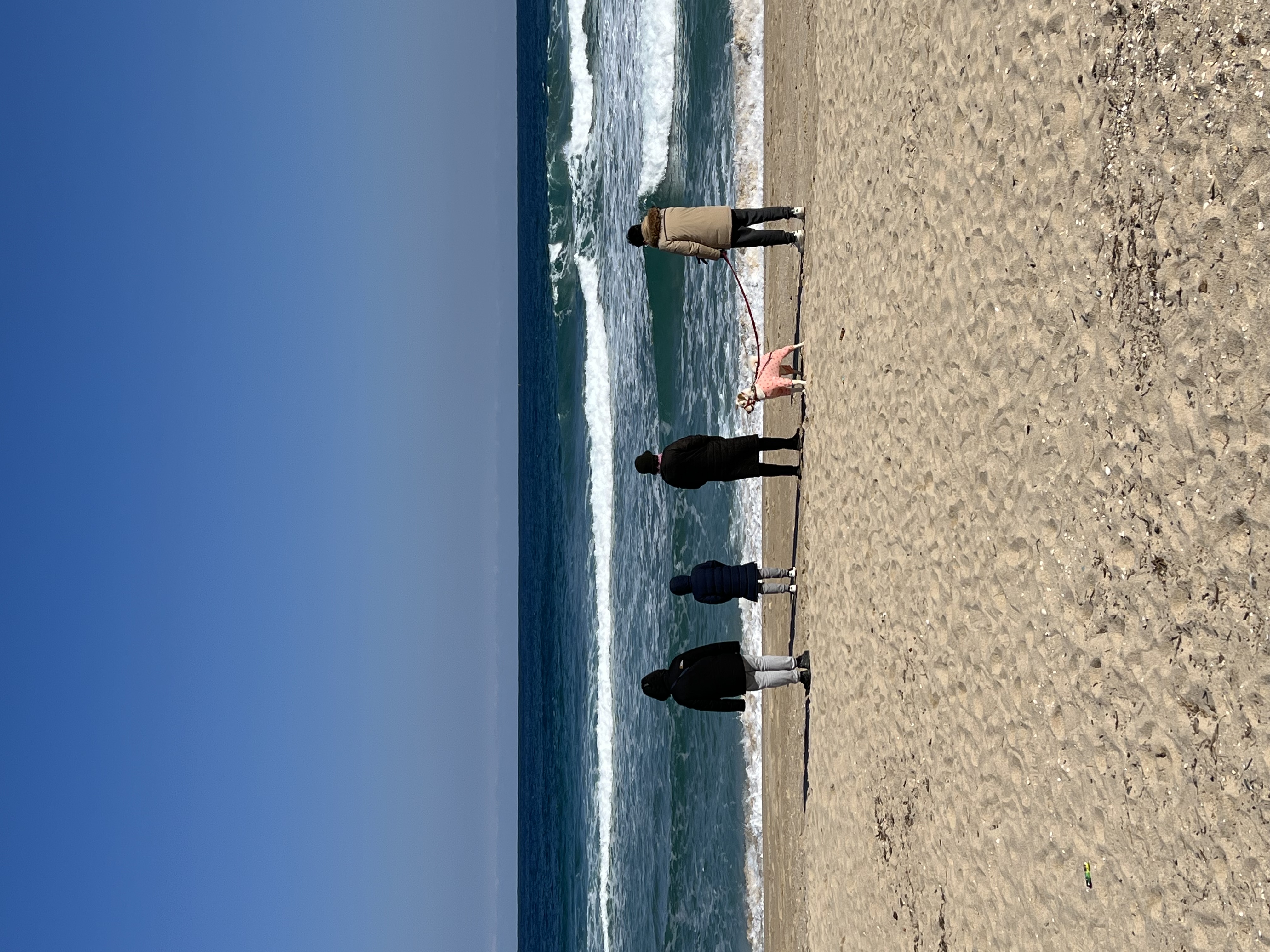 보리(시작이) 입양 3년째! 잘 지내고 있습니다~