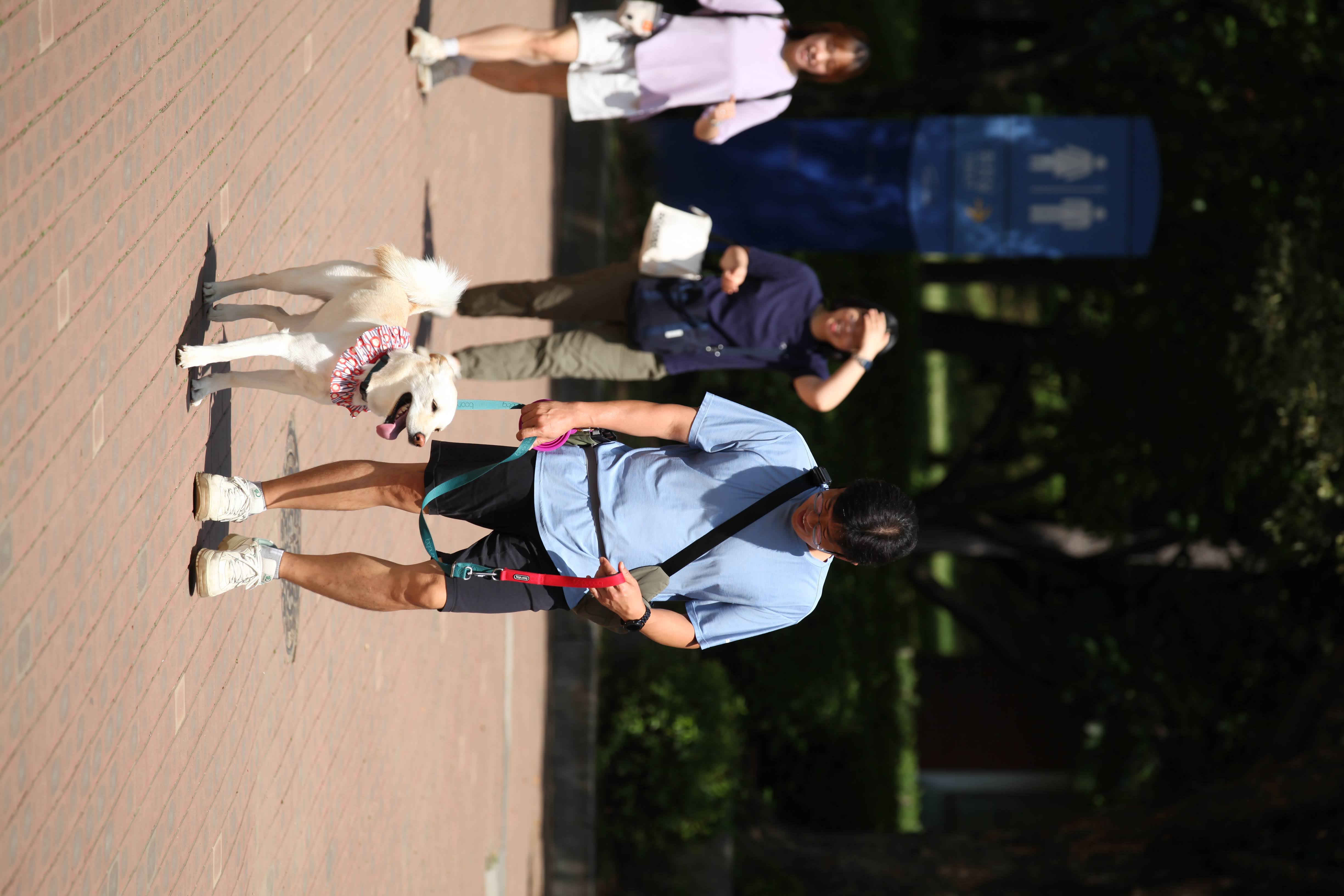 보리(시작이) 입양 3년째! 잘 지내고 있습니다~