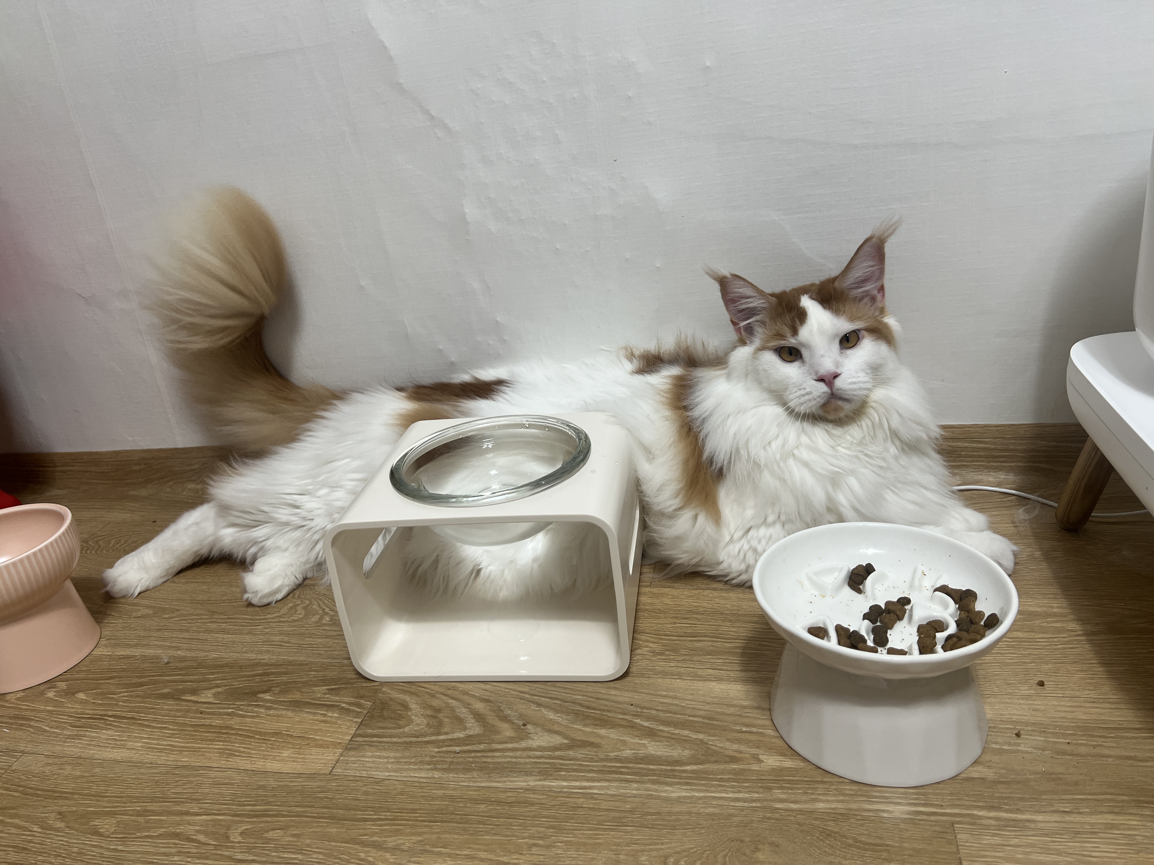 진짜가족이 된 나봄이(조미료)