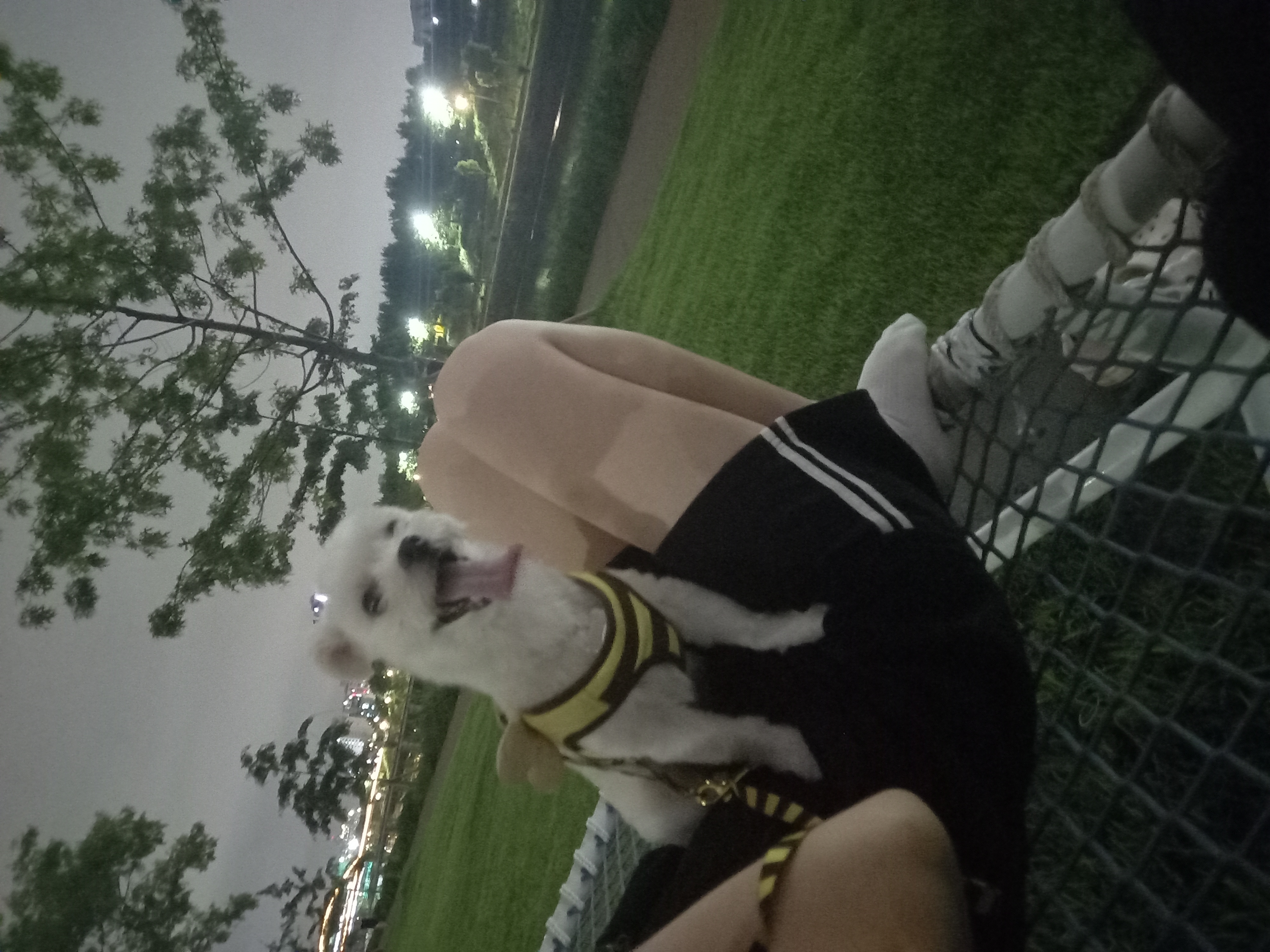 설기(구 오식이) 잘 지내요