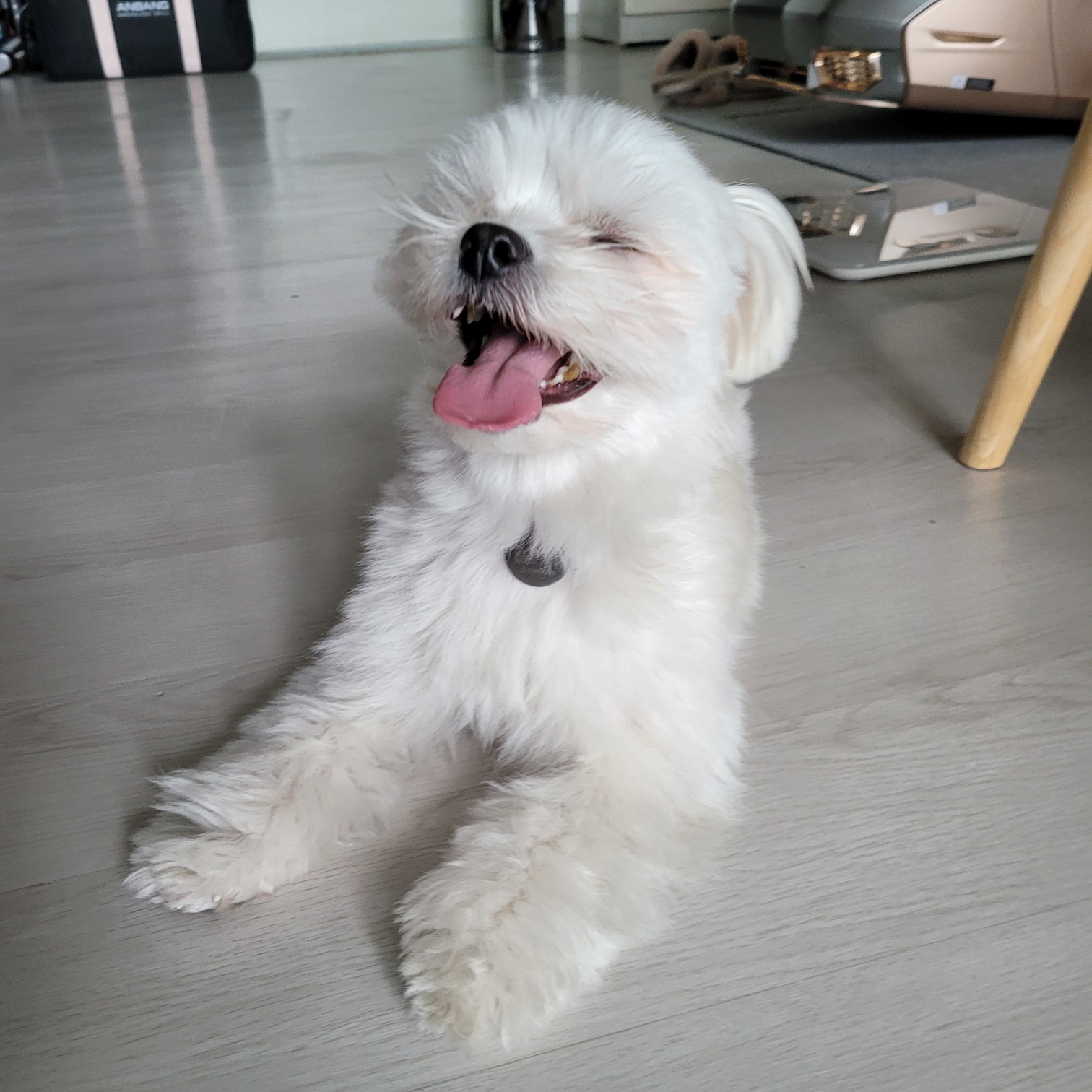 설기(구 오식이) 잘 지내요