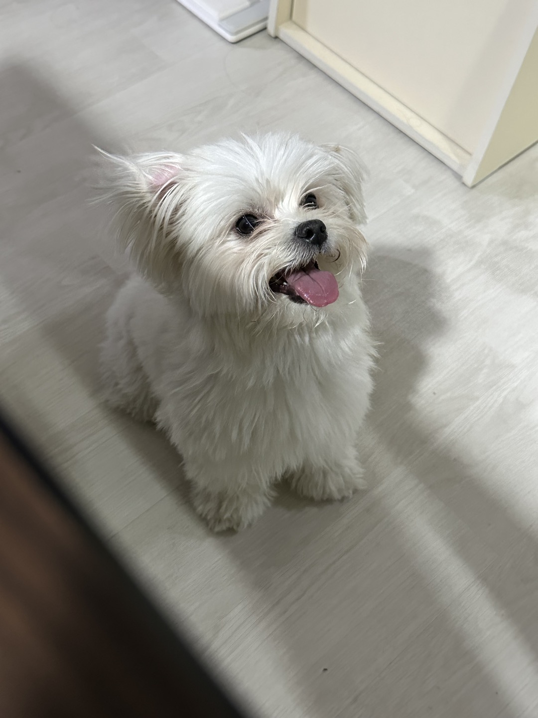 설기(구 오식이) 잘 지내요