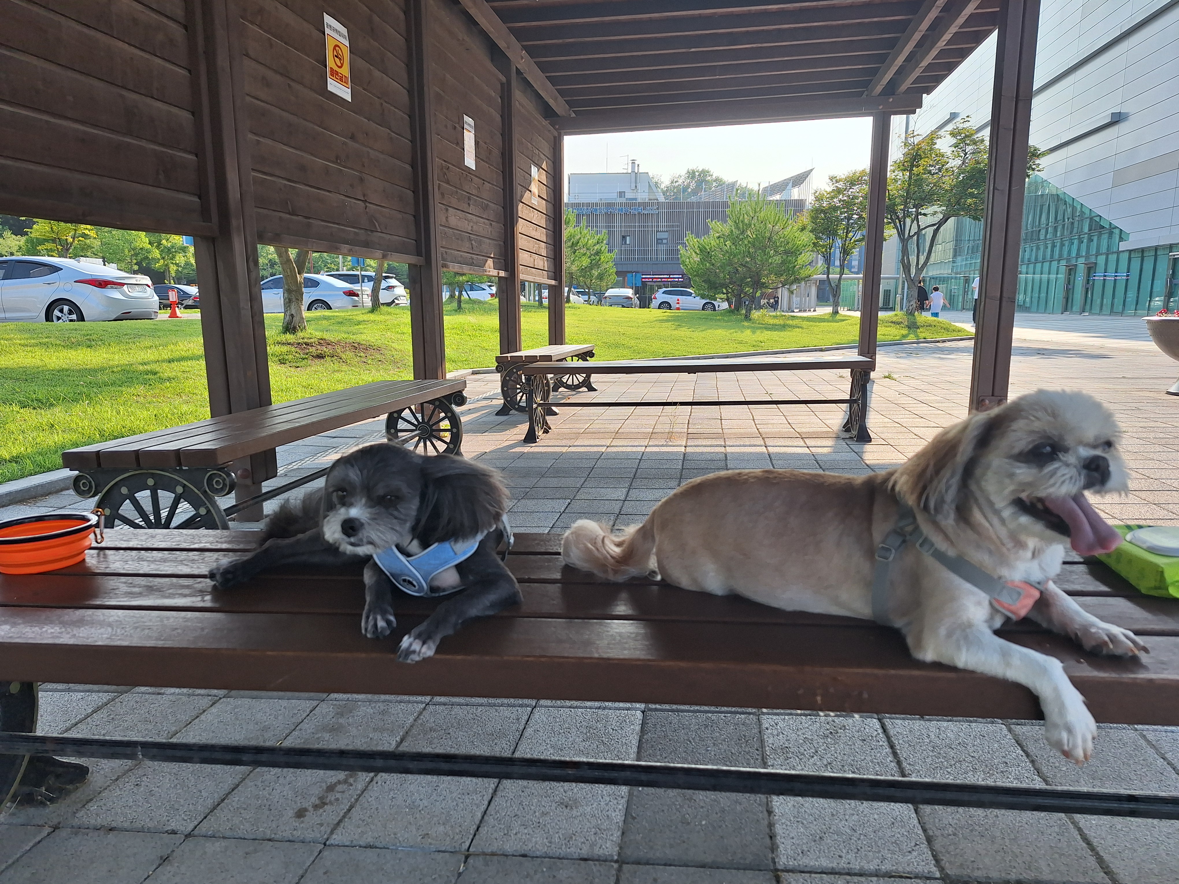 승이(탱숙),깡이(타타)