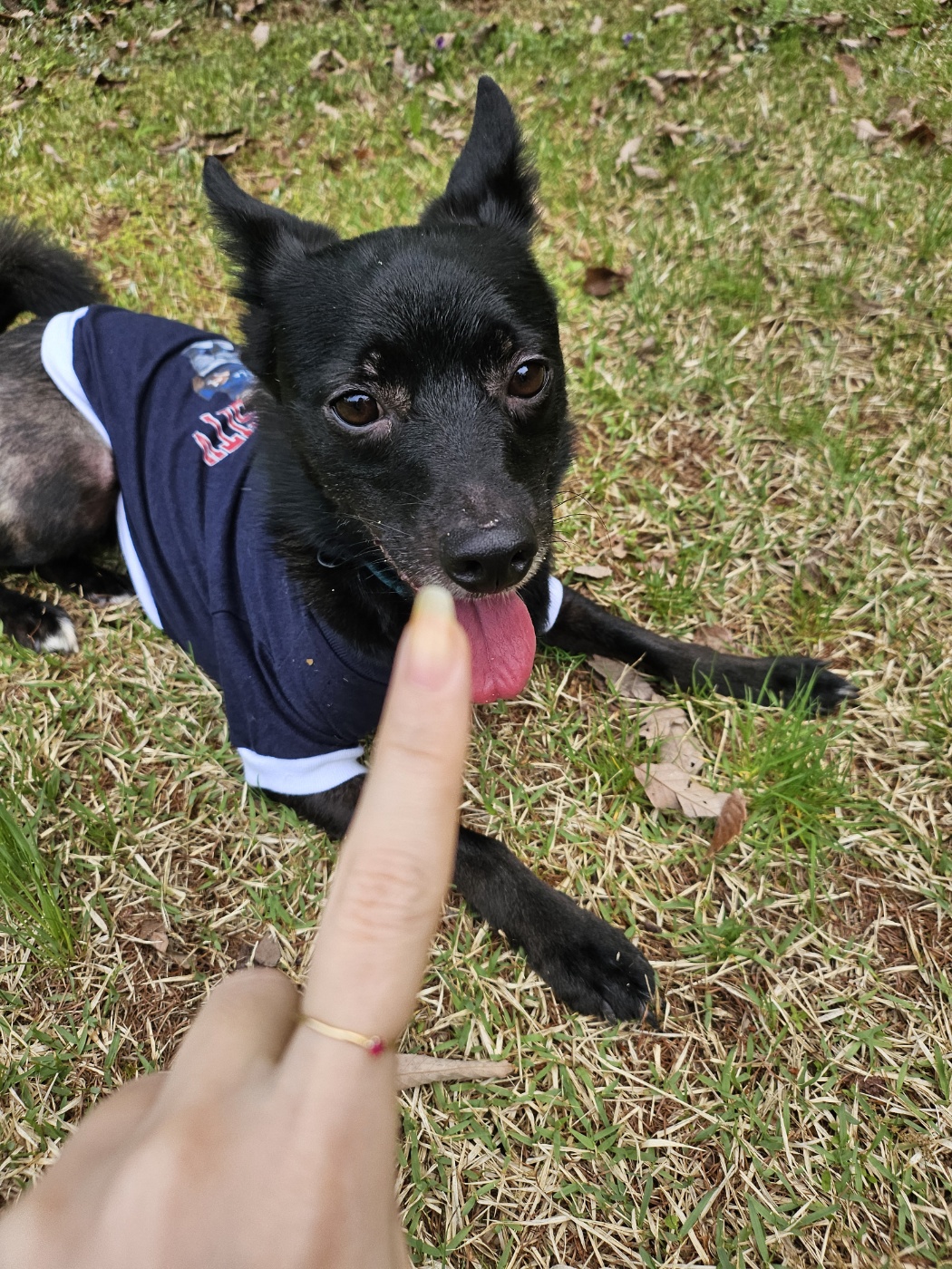 트러플(구 오렌지) 2년차 입양후기