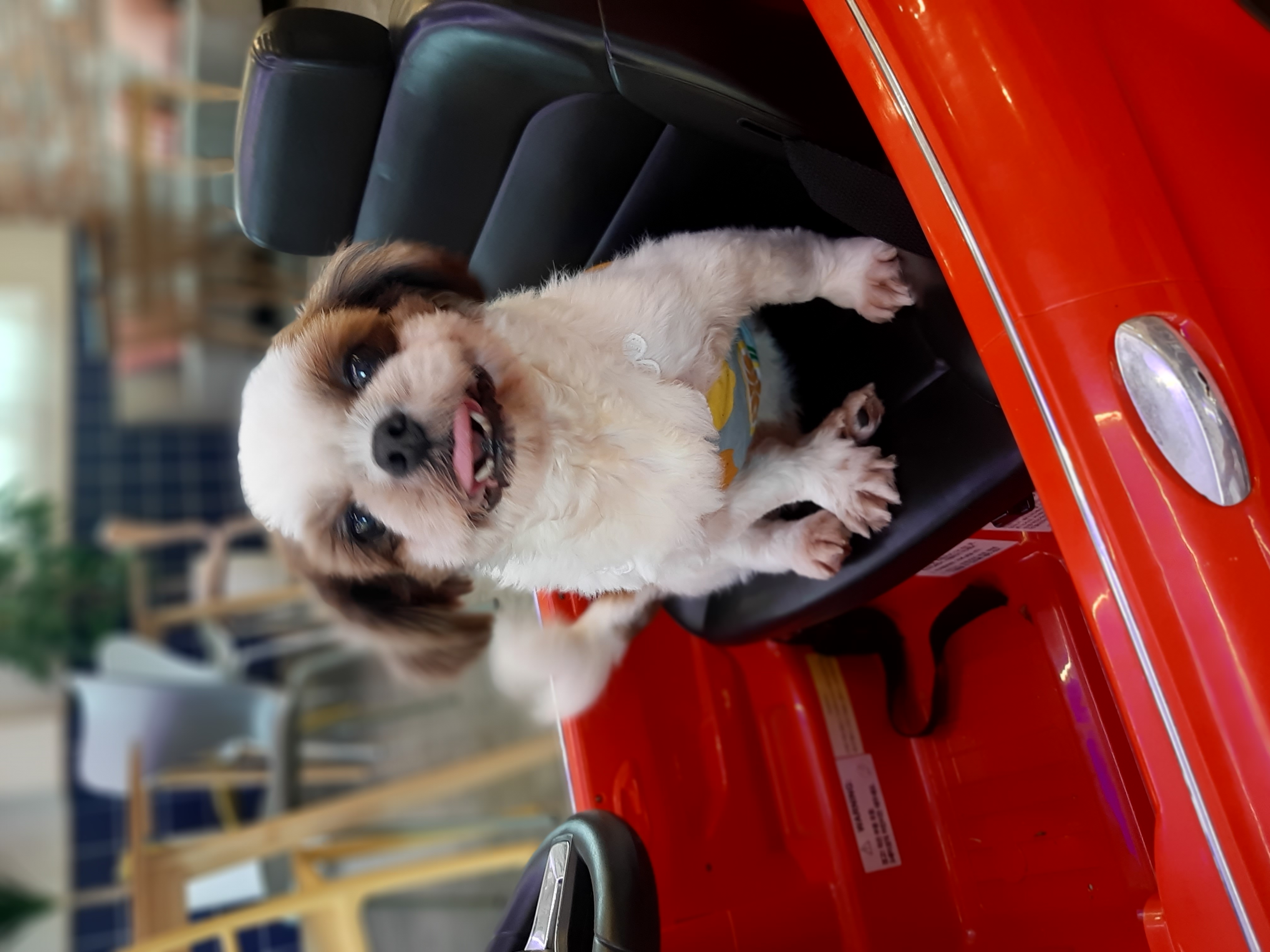 뽀야 잘지내고있어요