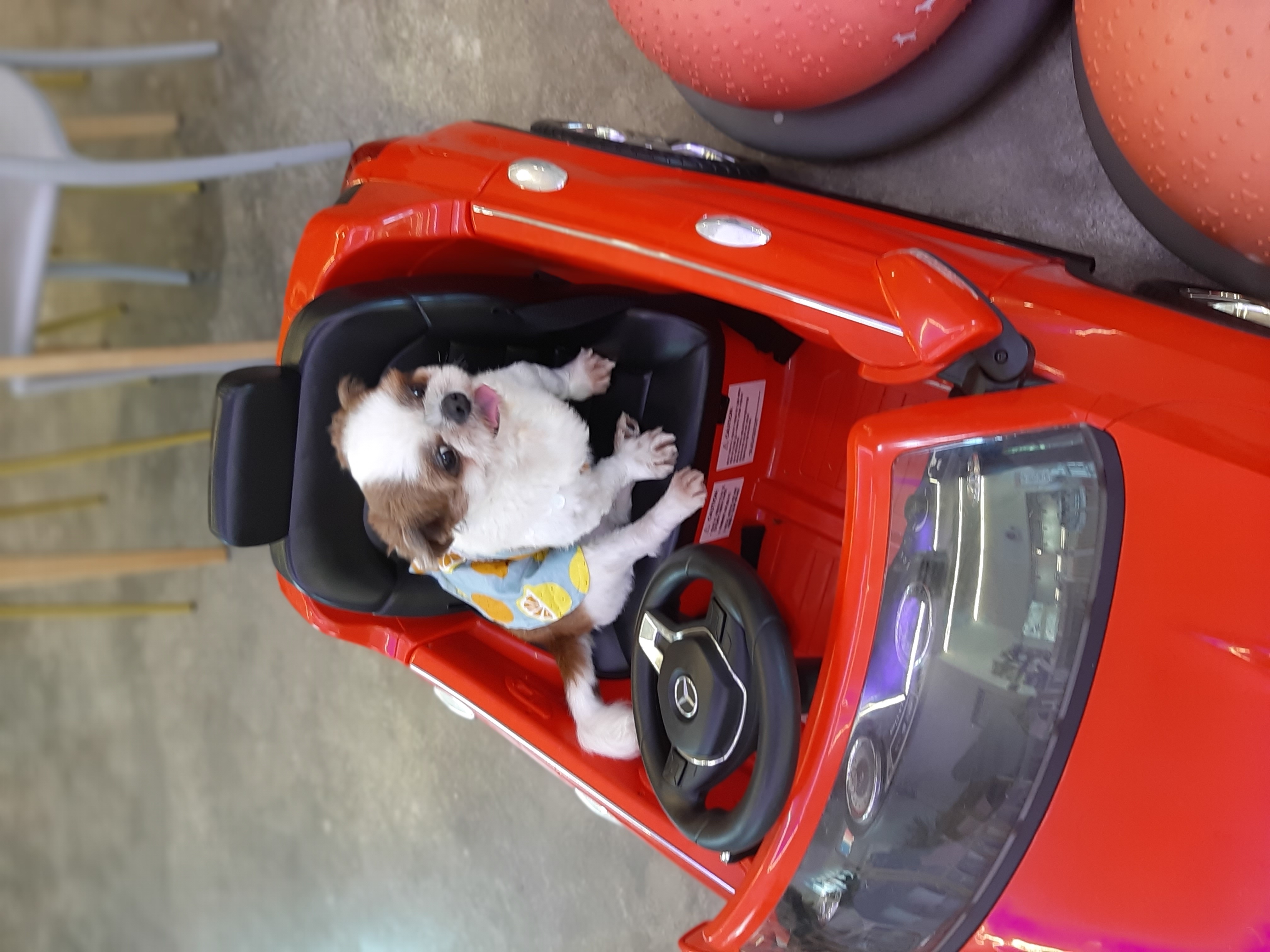 뽀야 잘지내고있어요