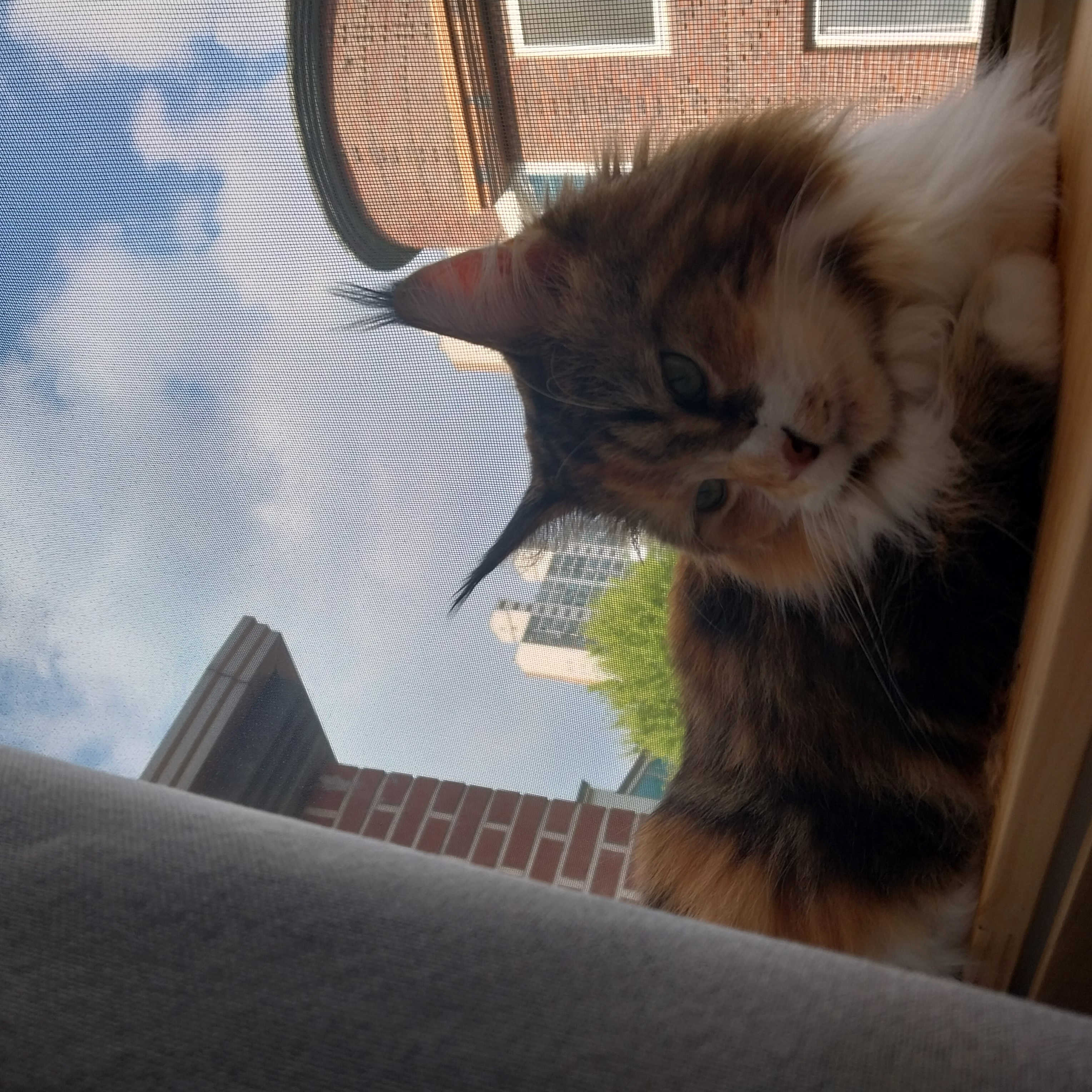 9개월차 웨이 근황