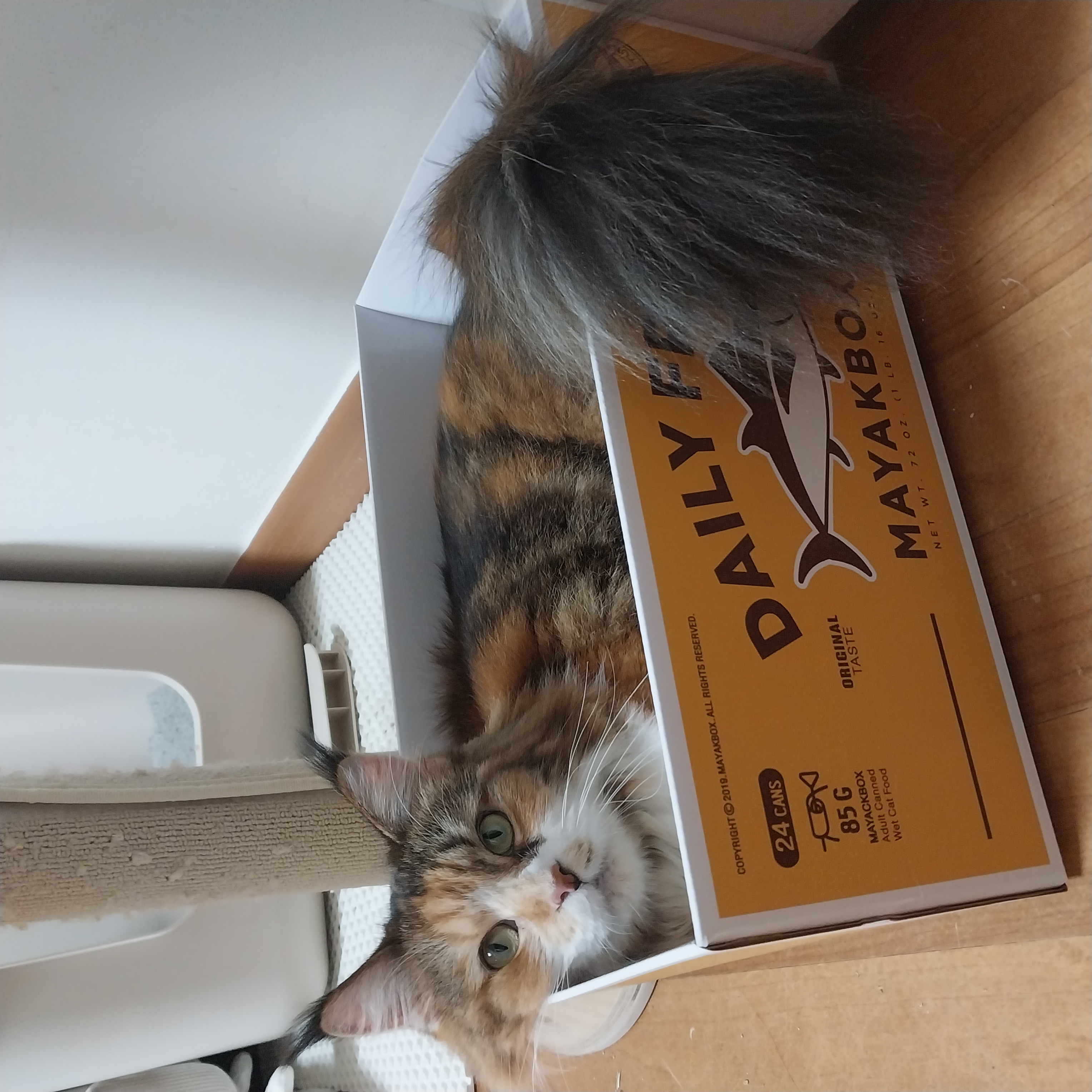 9개월차 웨이 근황