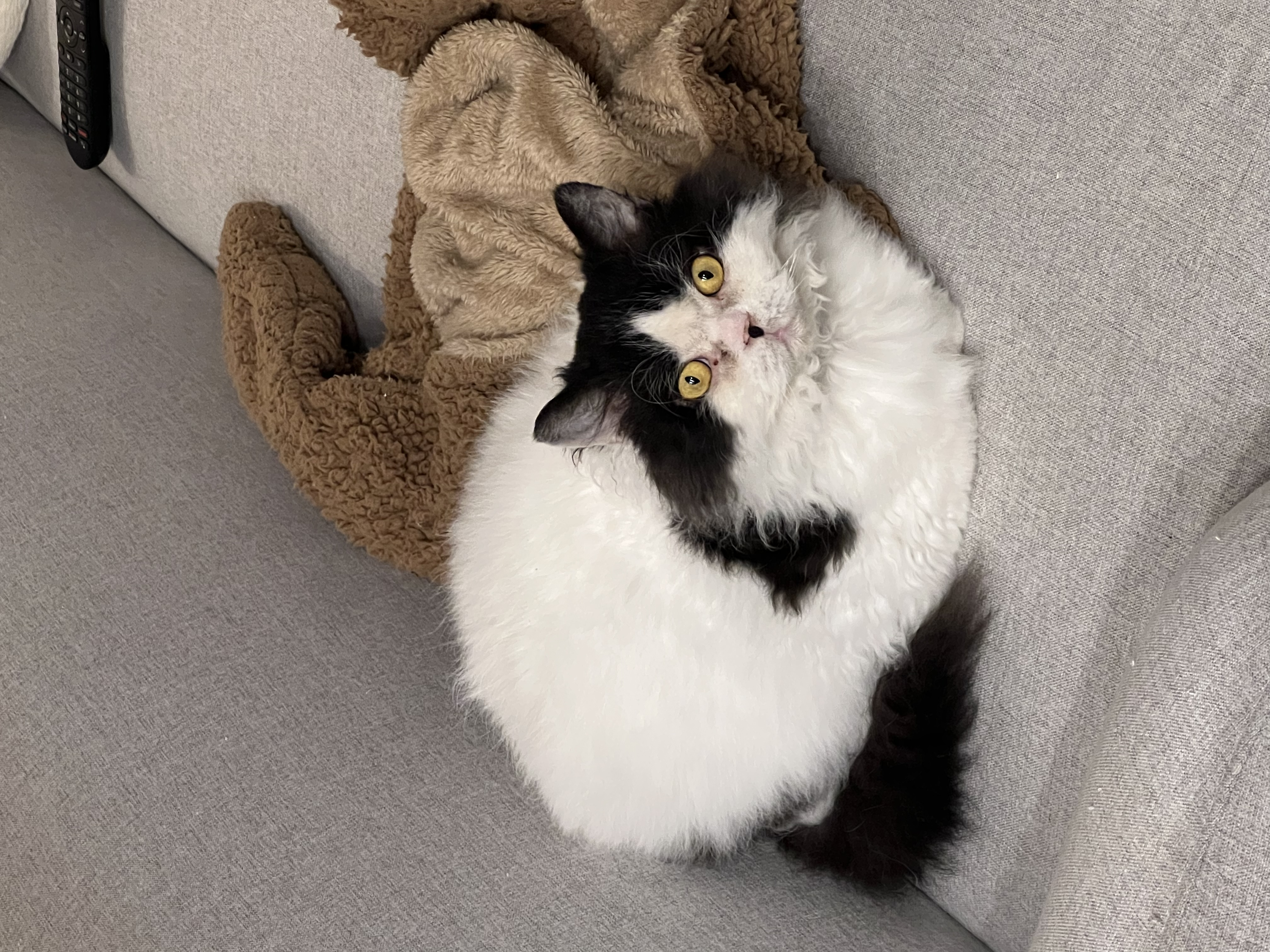 하루의 세번째 하루(구 왕꿍이)