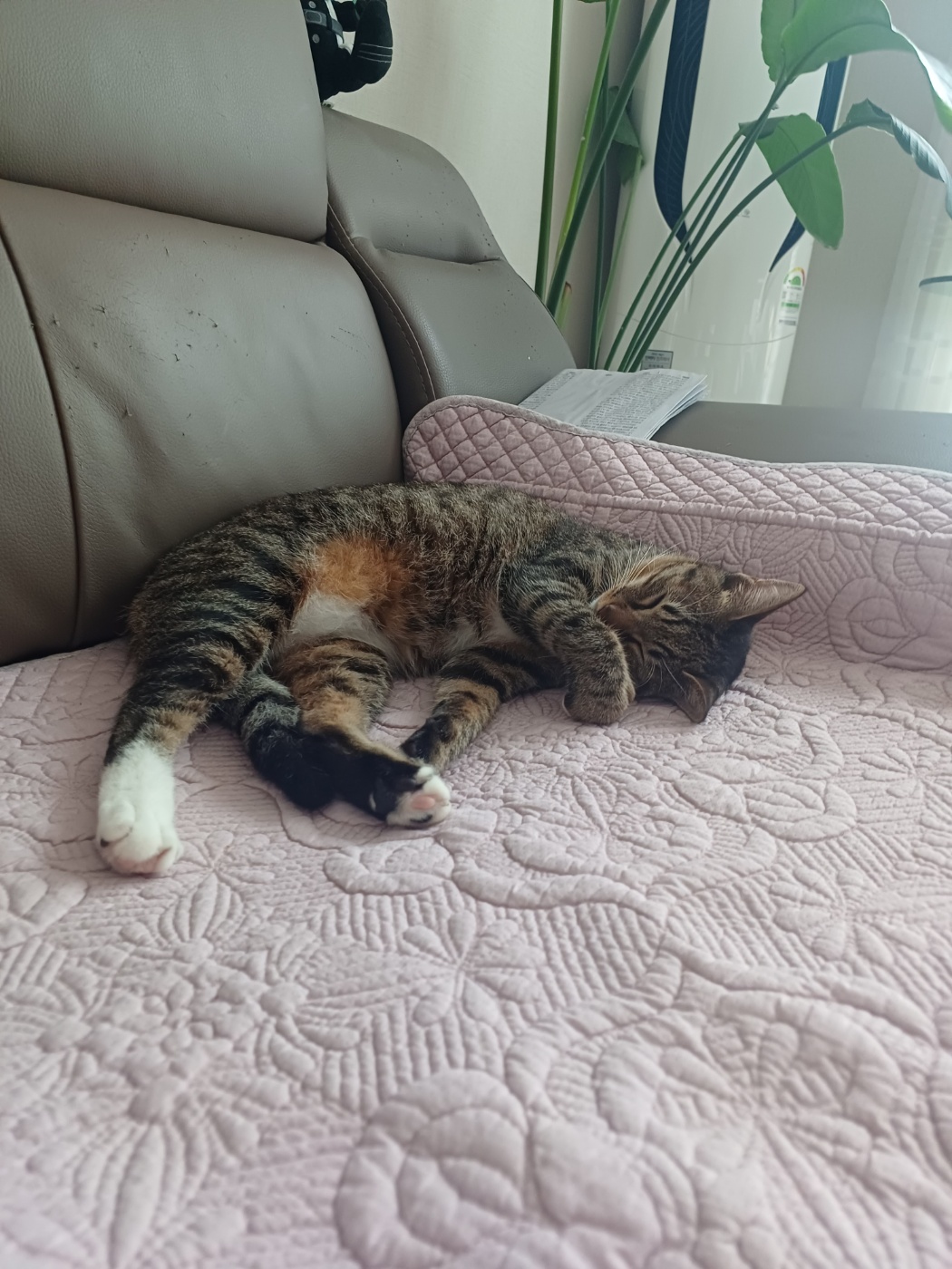 현 길동이 일상이야기 (구 승희)