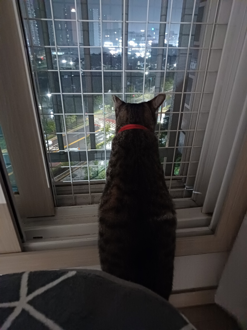 현 길동이 일상이야기 (구 승희)