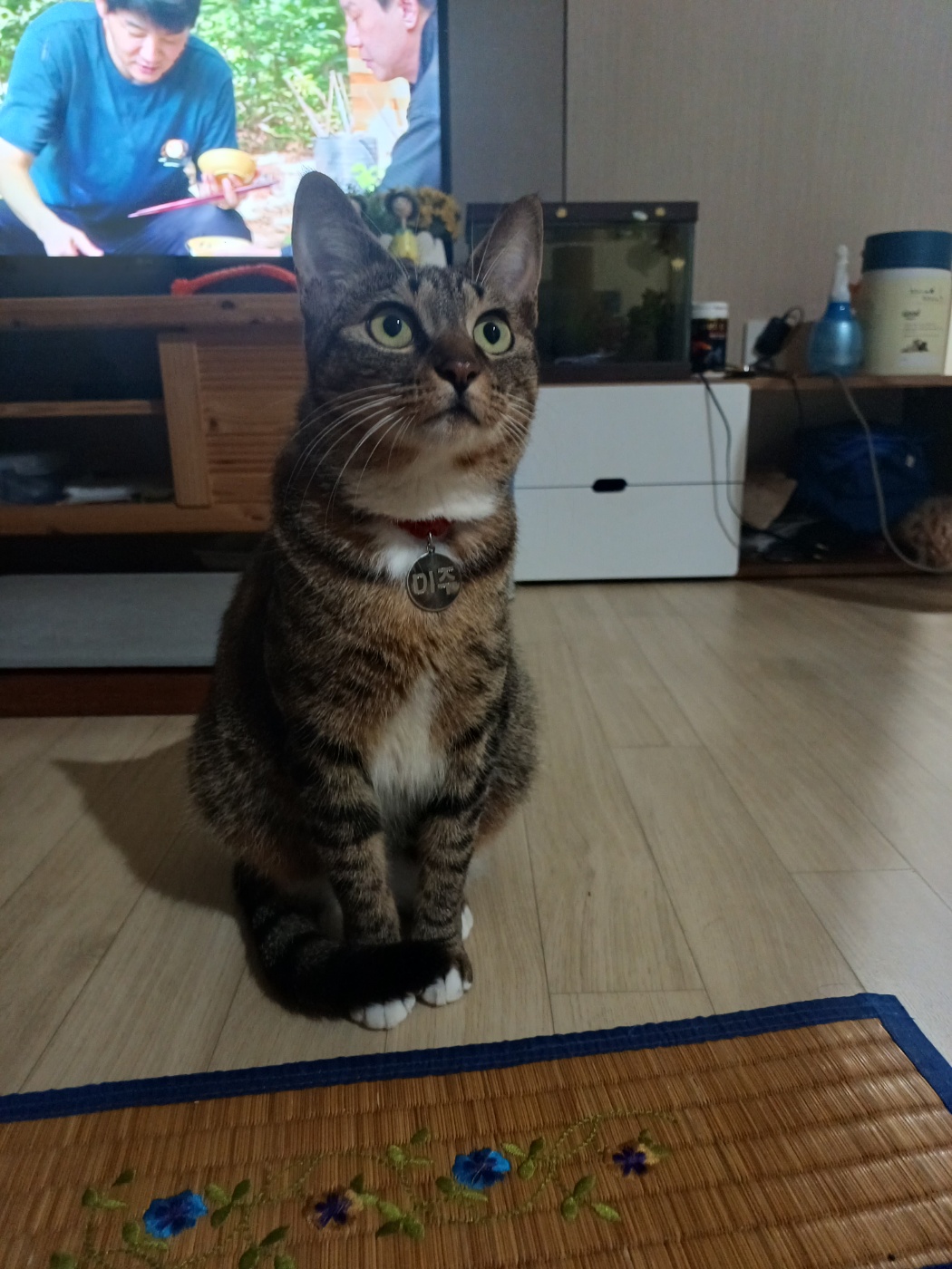 현 길동이 일상이야기 (구 승희)