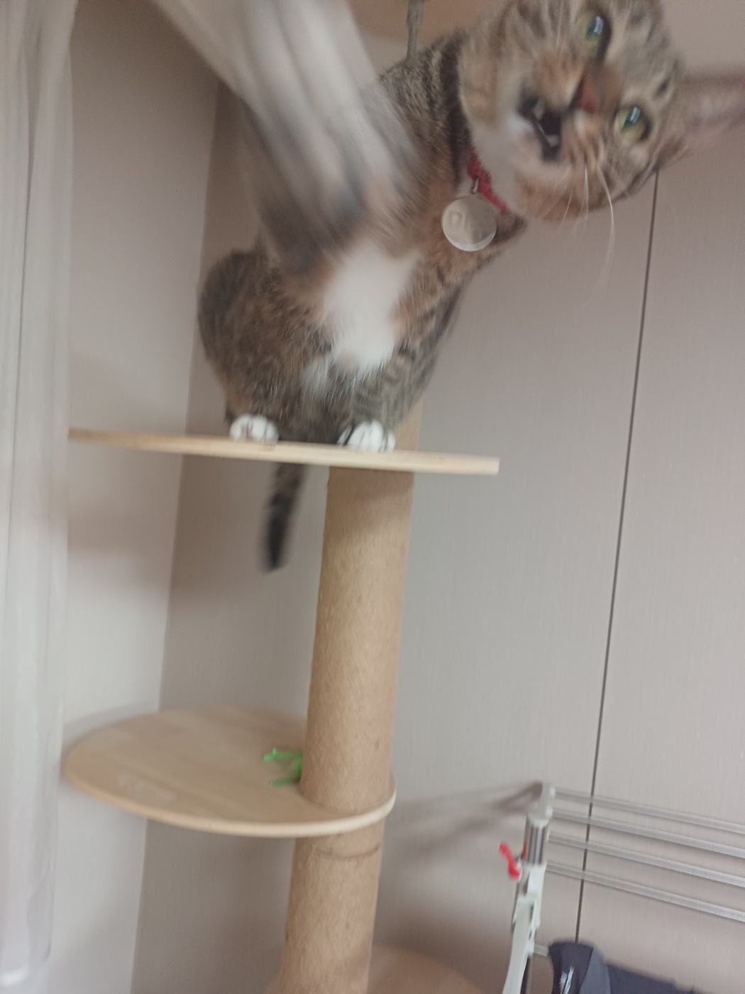 현 길동이 일상이야기 (구 승희)