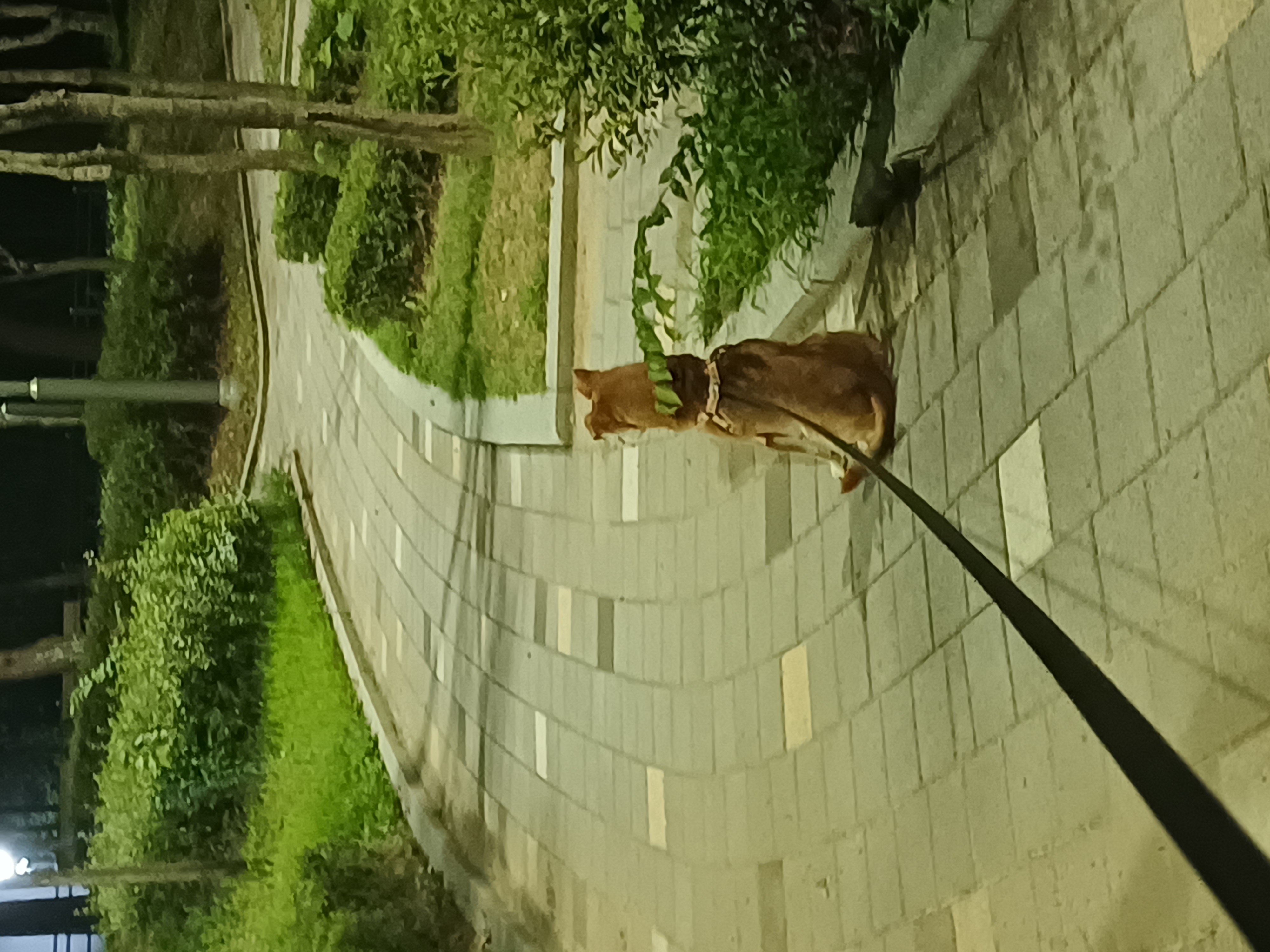 얼짱 몸짱 다온이 소식이에요~