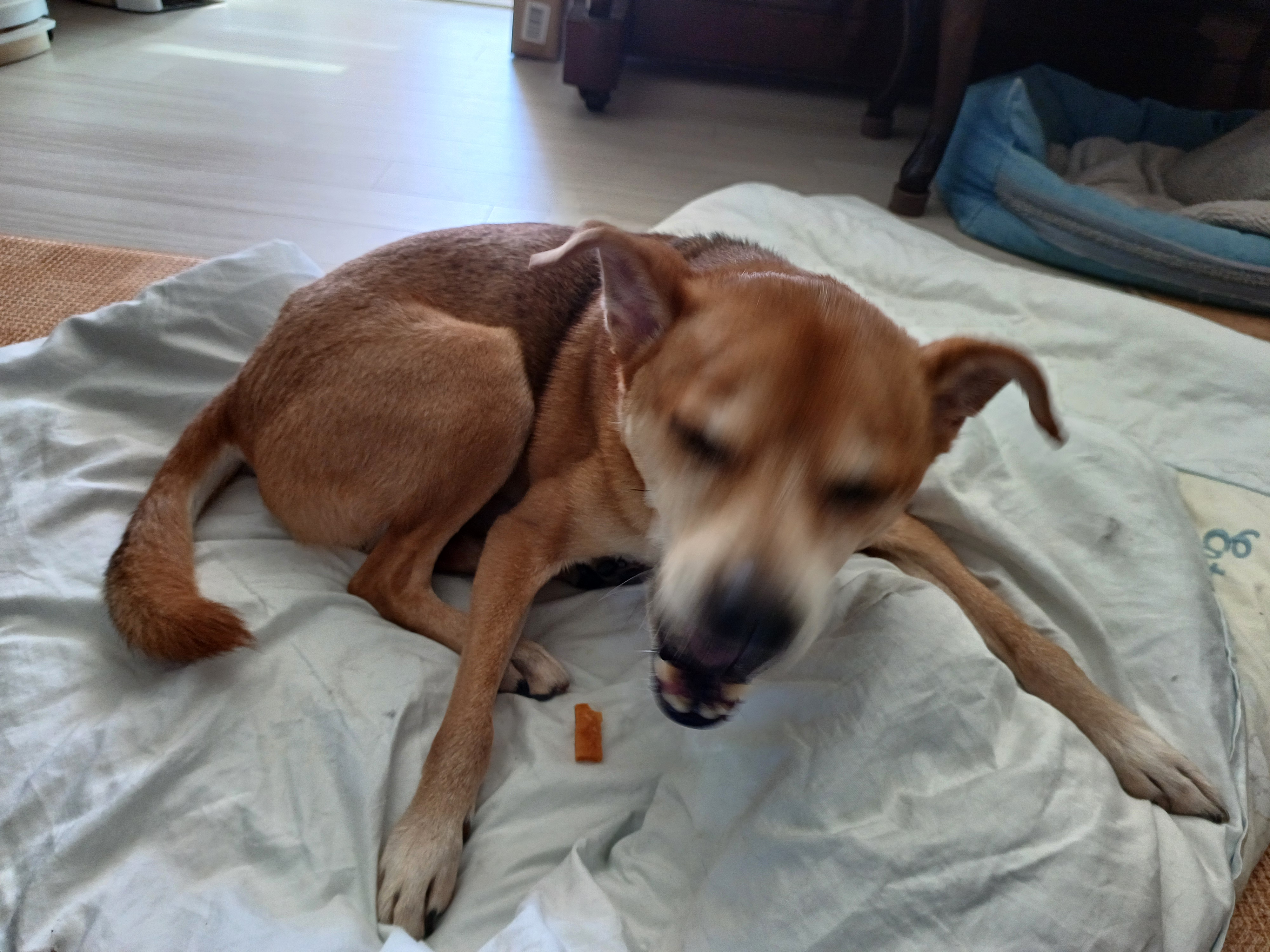 얼짱 몸짱 다온이 소식이에요~