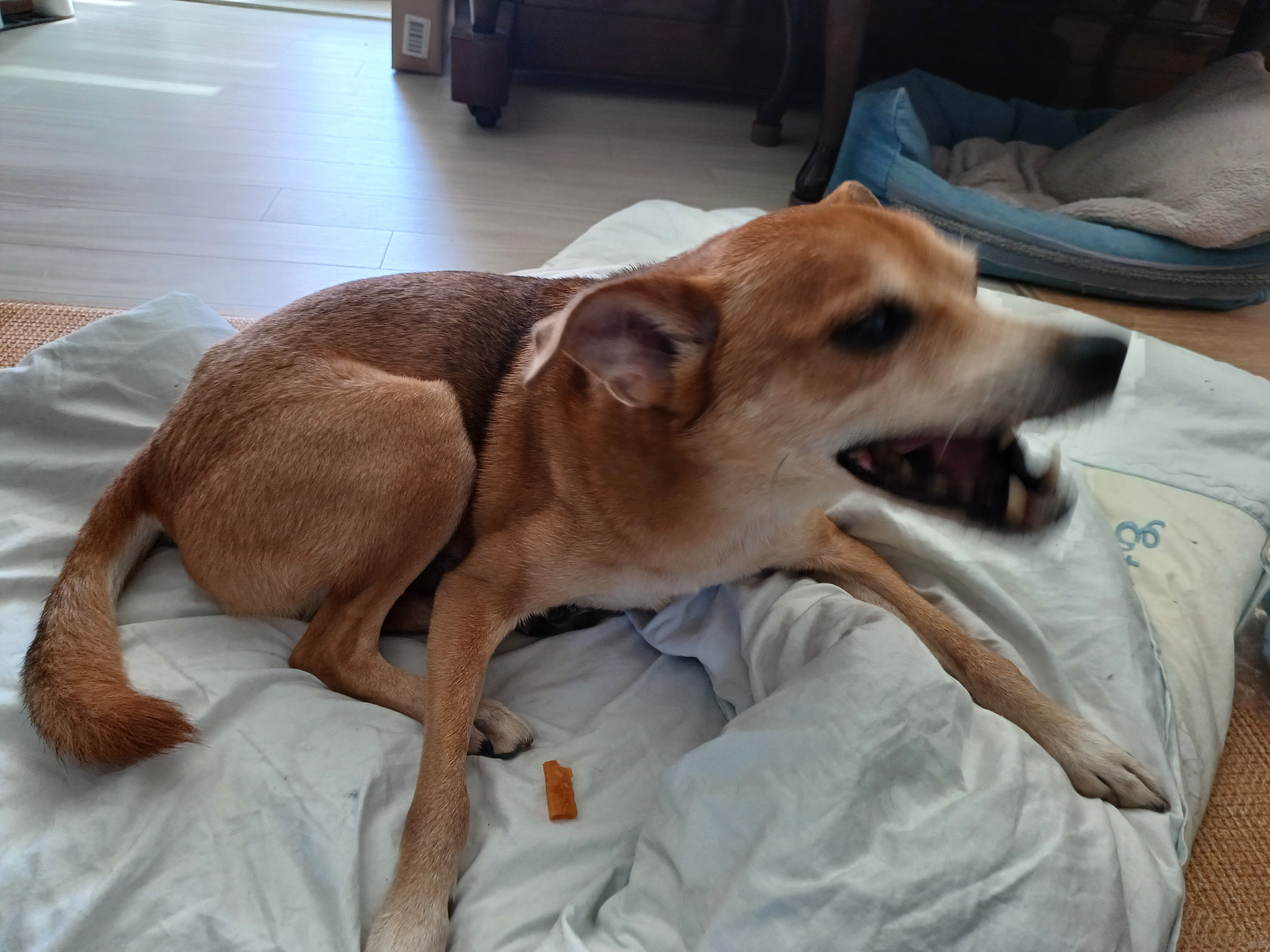 얼짱 몸짱 다온이 소식이에요~