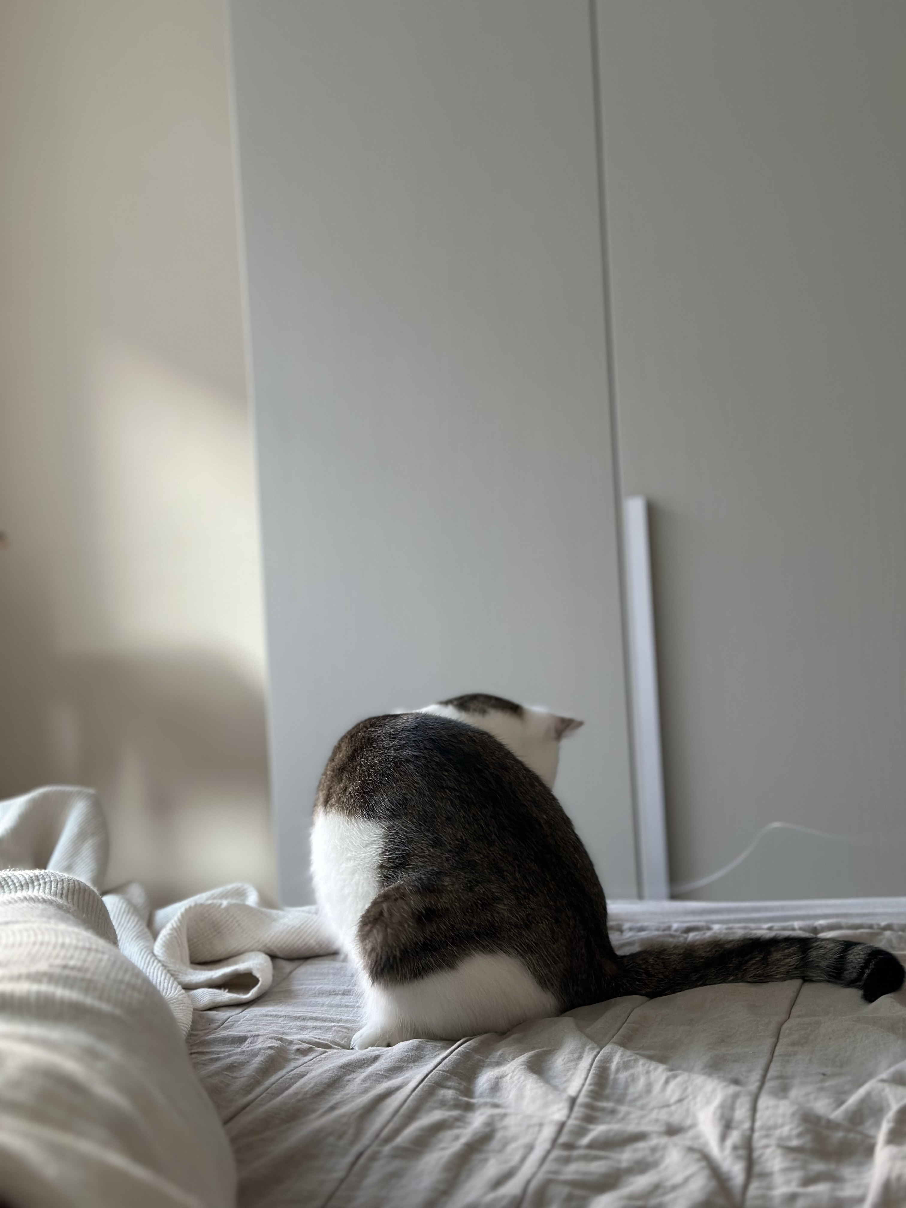 육튼이 입양 세 달 후 이야기