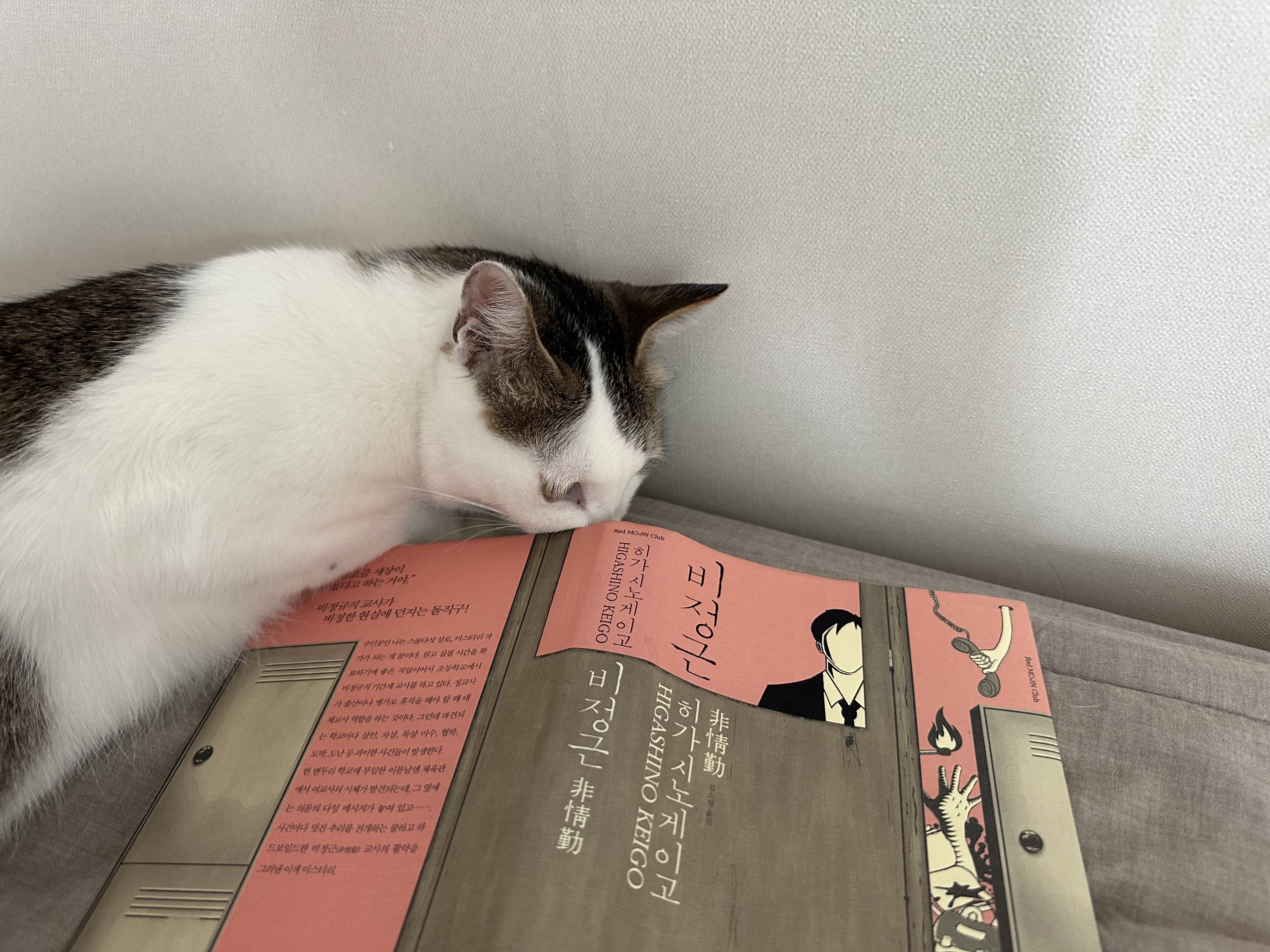 육튼이 입양 세 달 후 이야기