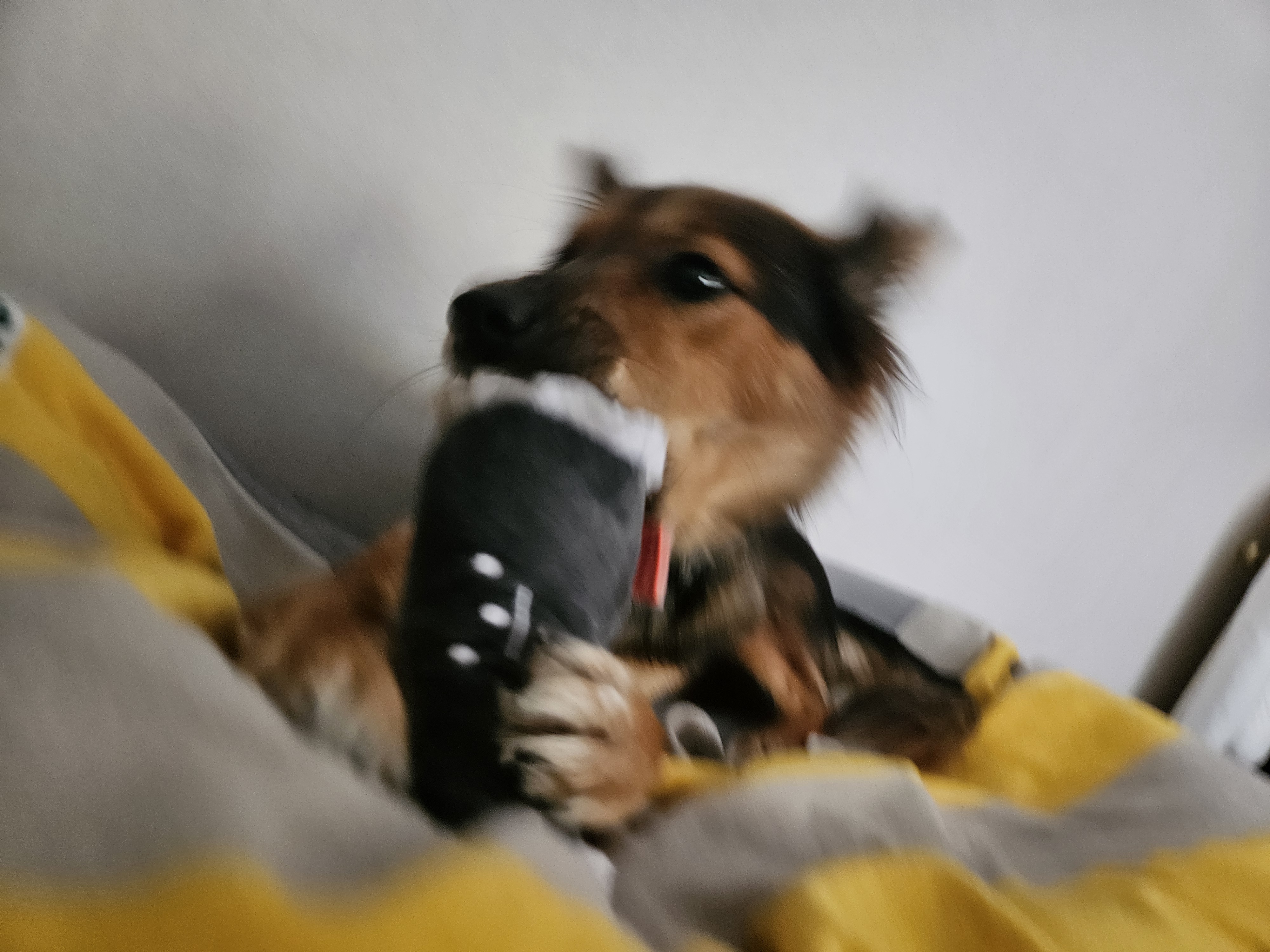 마리아는 잘지내요 저말고 마리아요